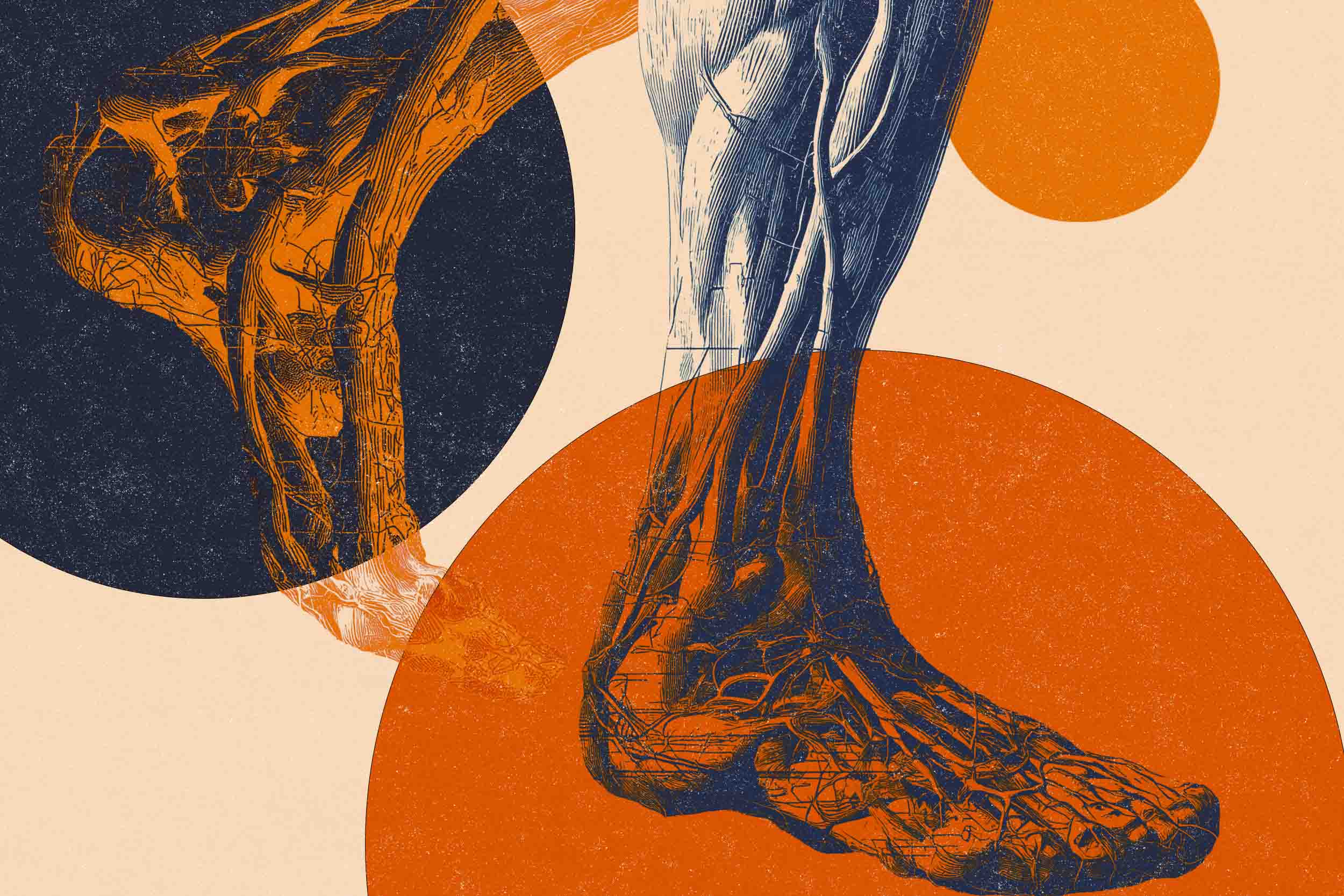 illustration of anatomical diagrams of male feet, ankles, and calves on a polkadot background
