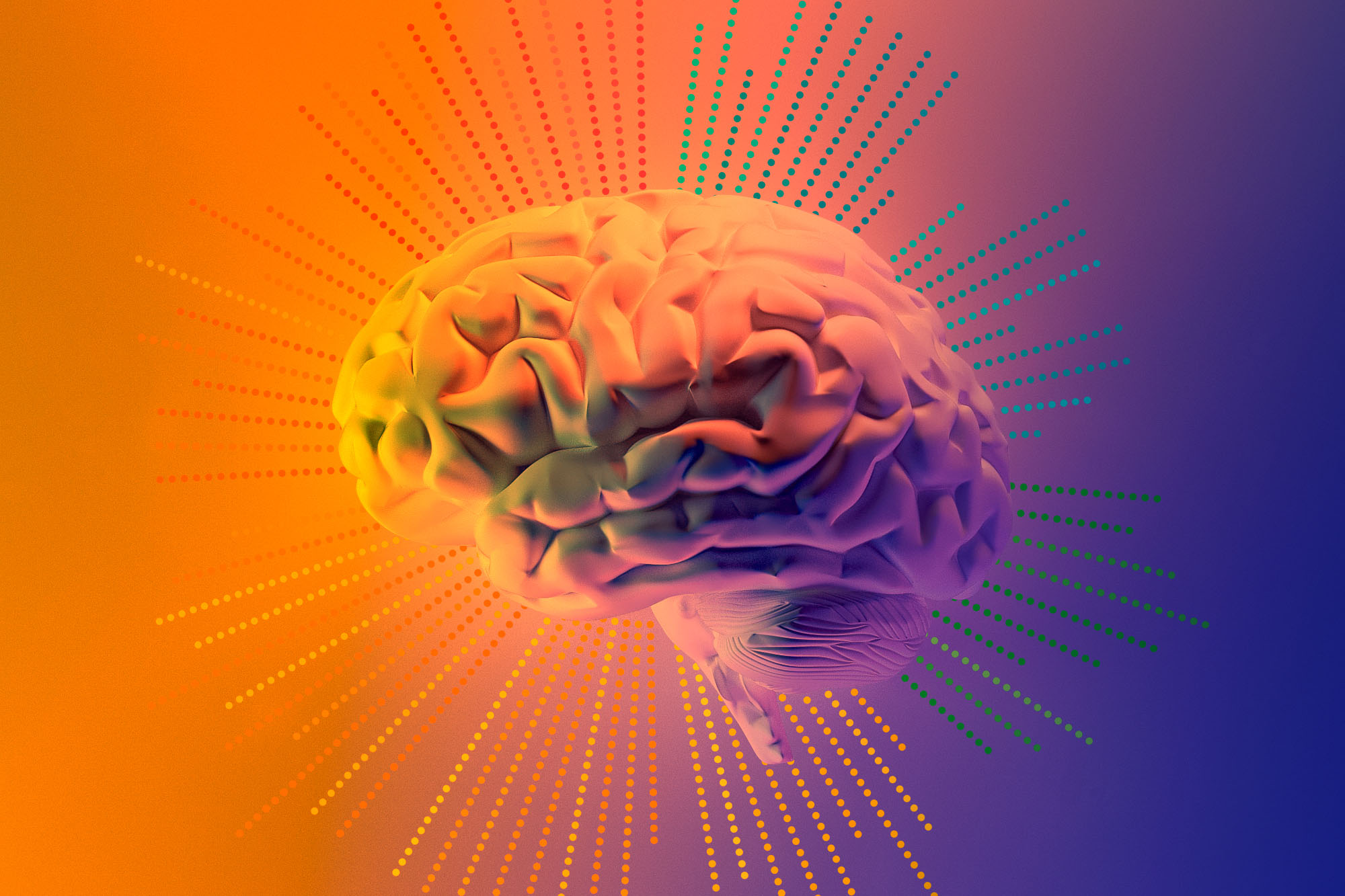 multicolored brain illustration