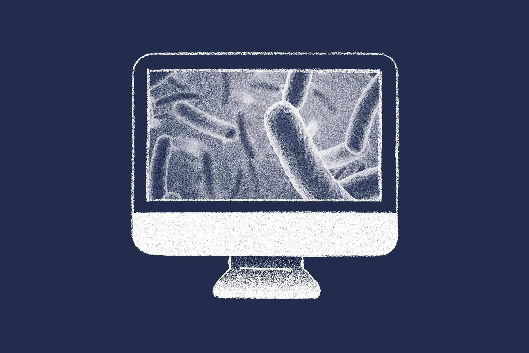 illustration of organisms on a microscope slide on a computer monitor