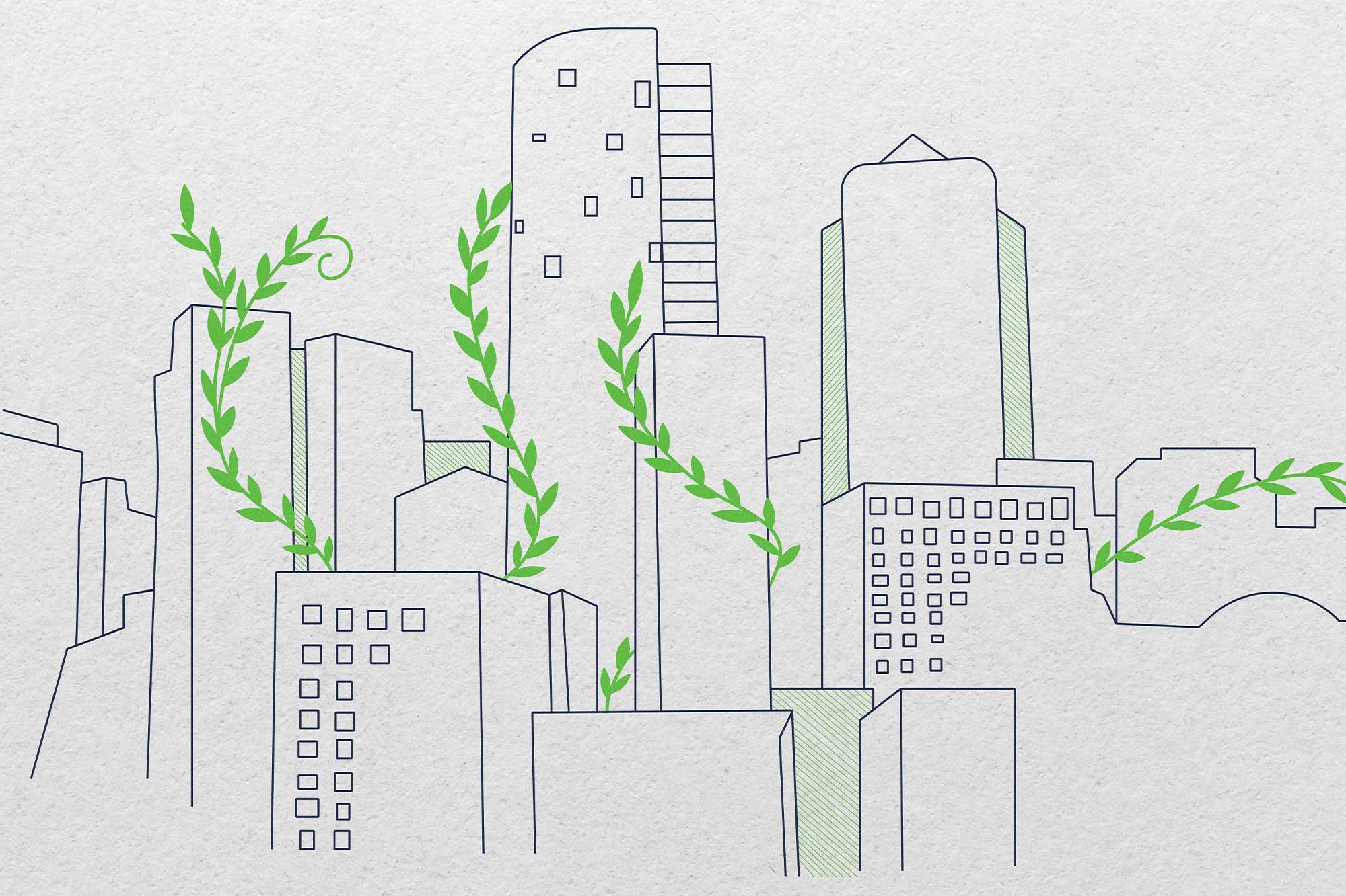 Green plants intertwined around line drawings of buildings