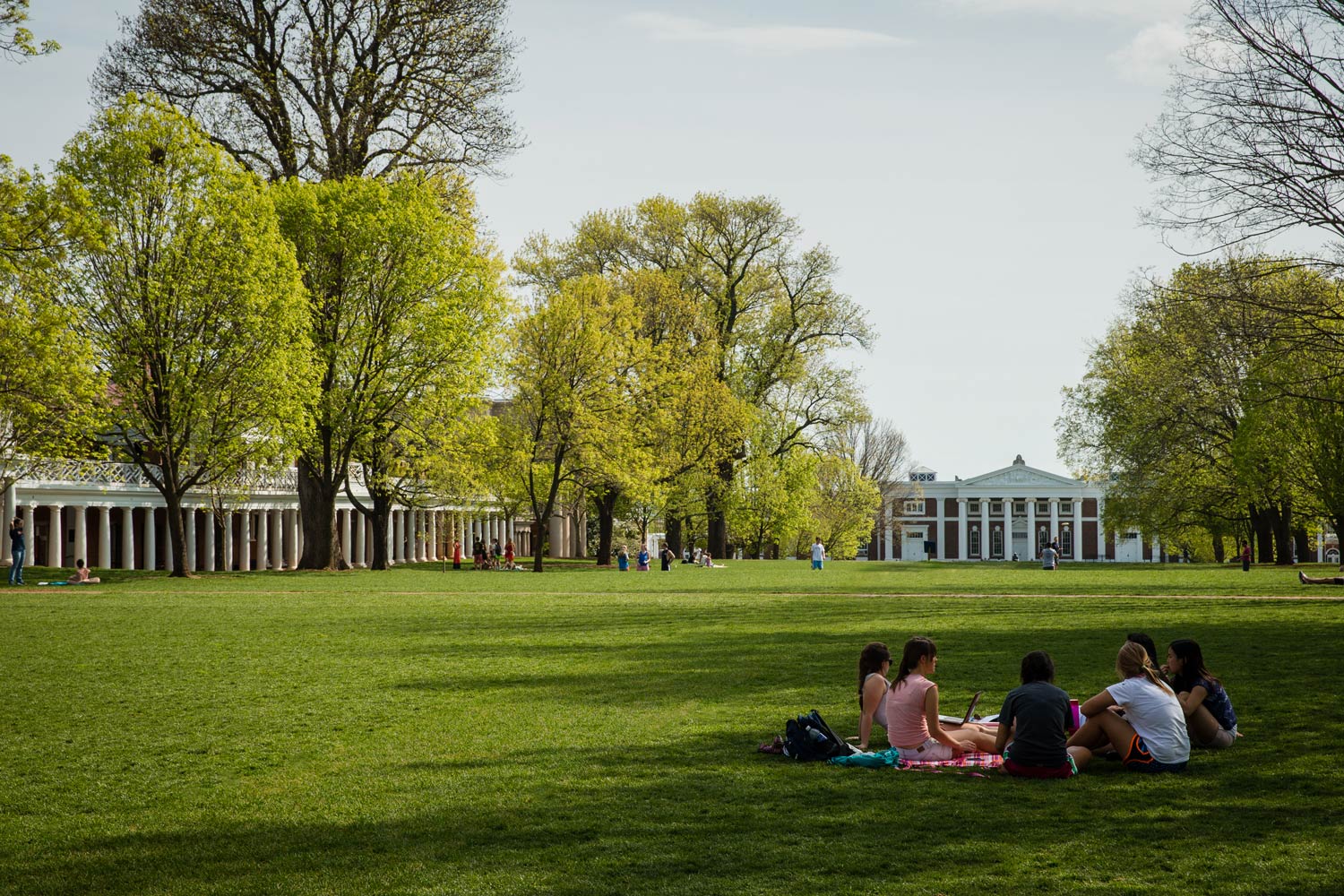 UVA students sit in a circle under a shade tree during a spring afternoon on the Lawn