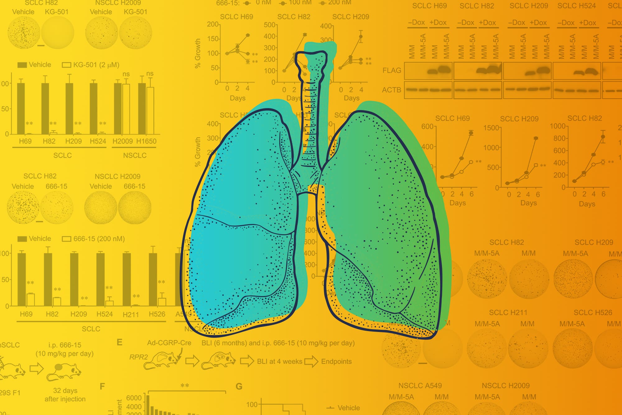 Illustration of lungs with various graphs and numbers in the background