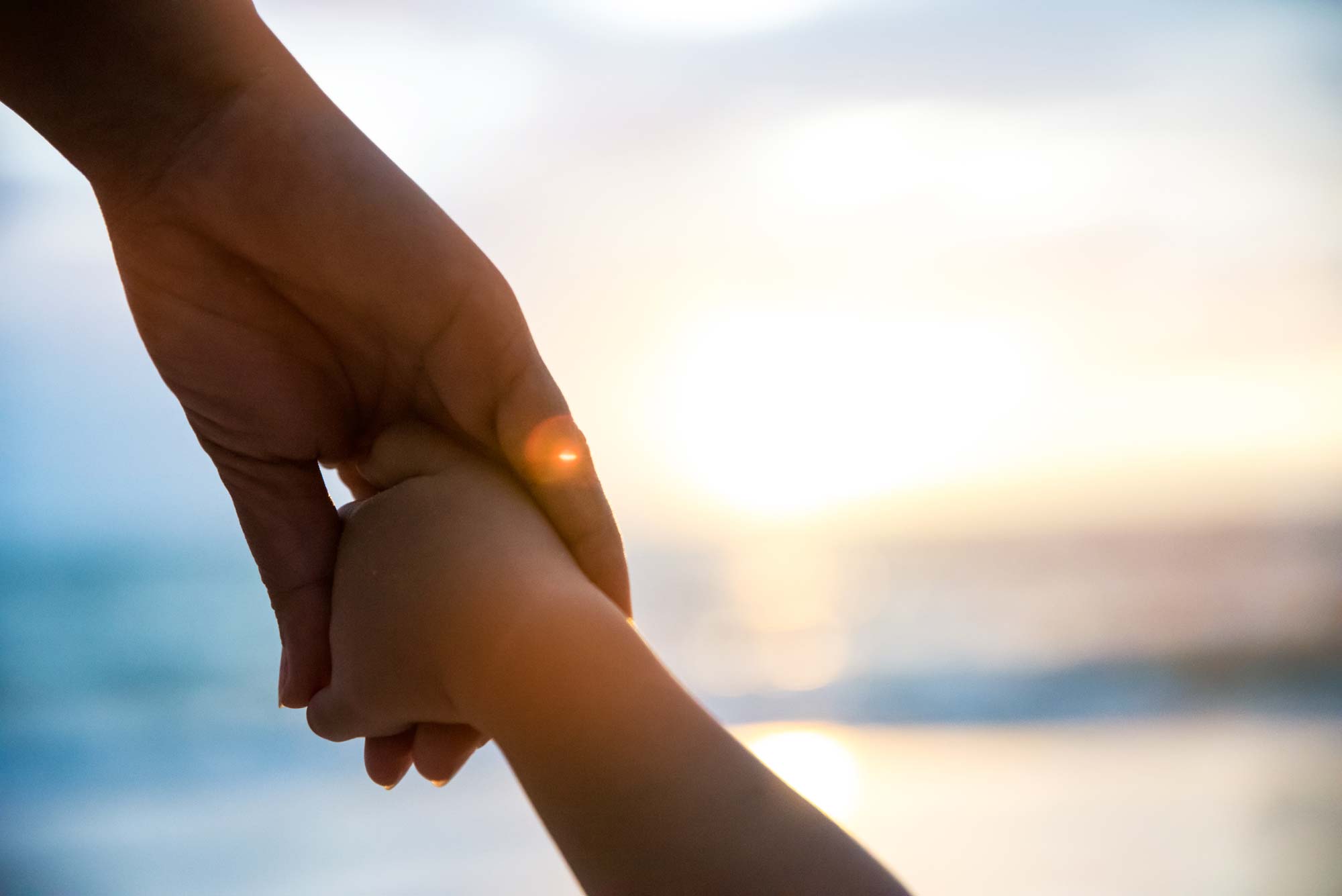 Adult holding a childs hand