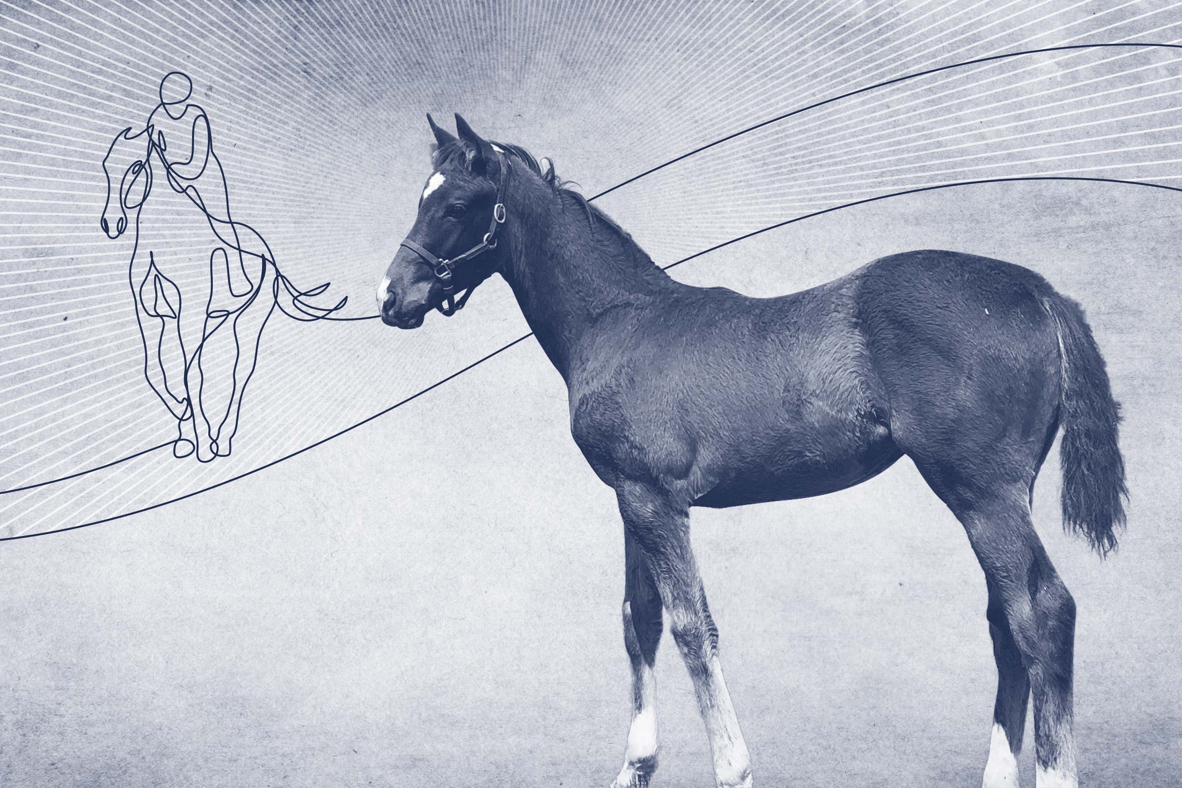 Graphic of horse with racing horse outline in the background