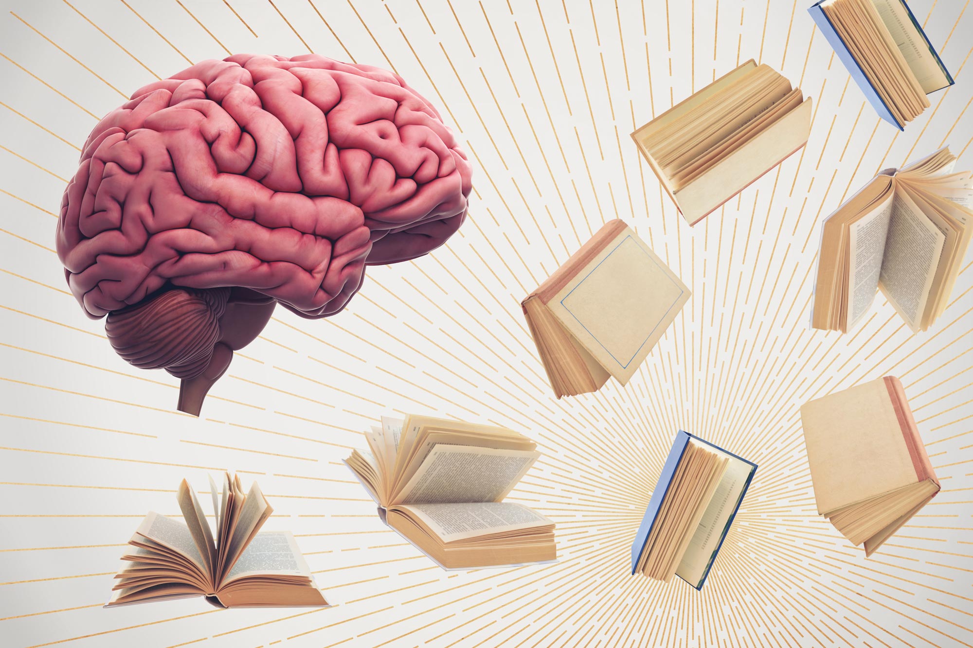Illustration of a brain and a collection of books flying around