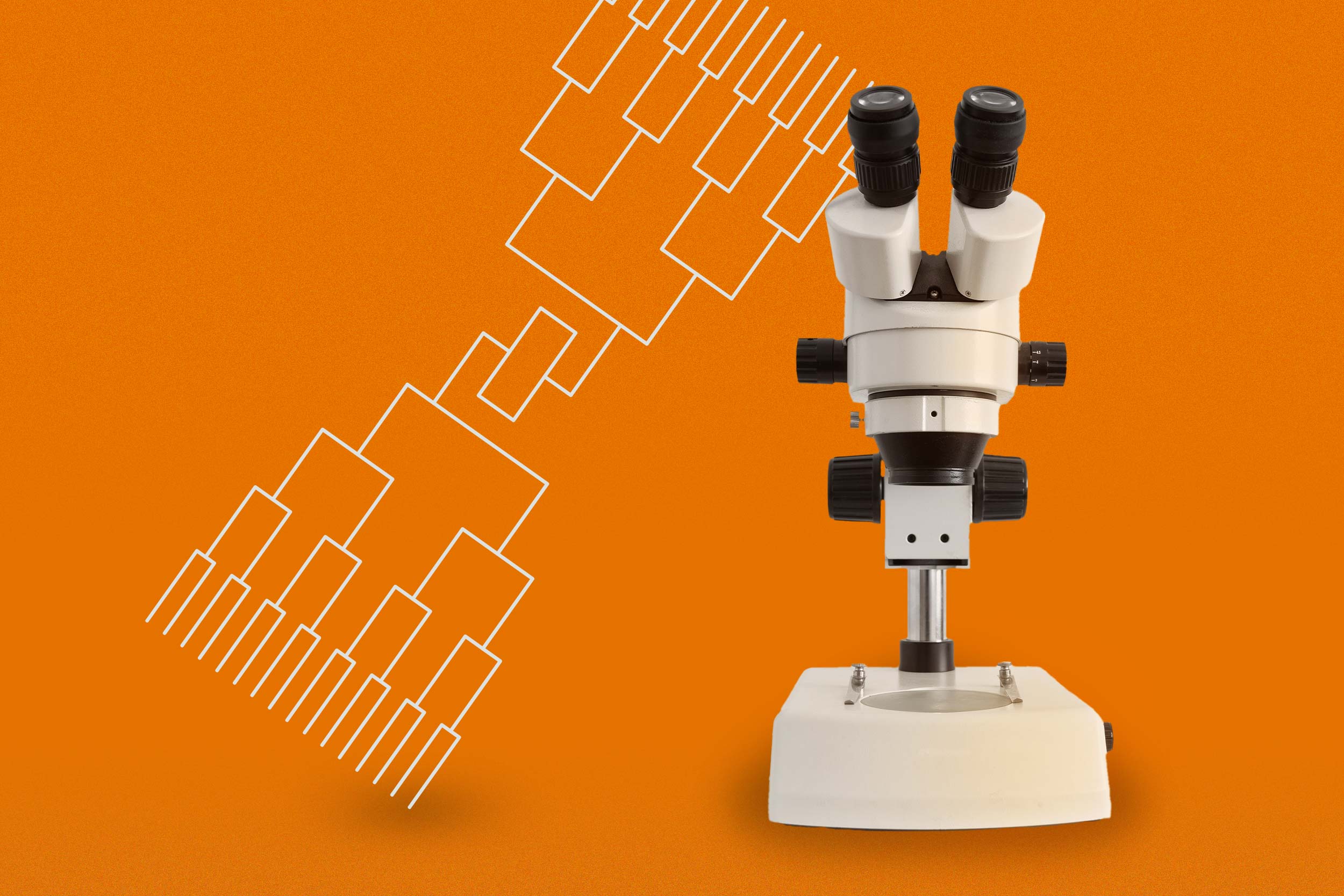 Illustration of a tournament bracket and a photo of a microscope