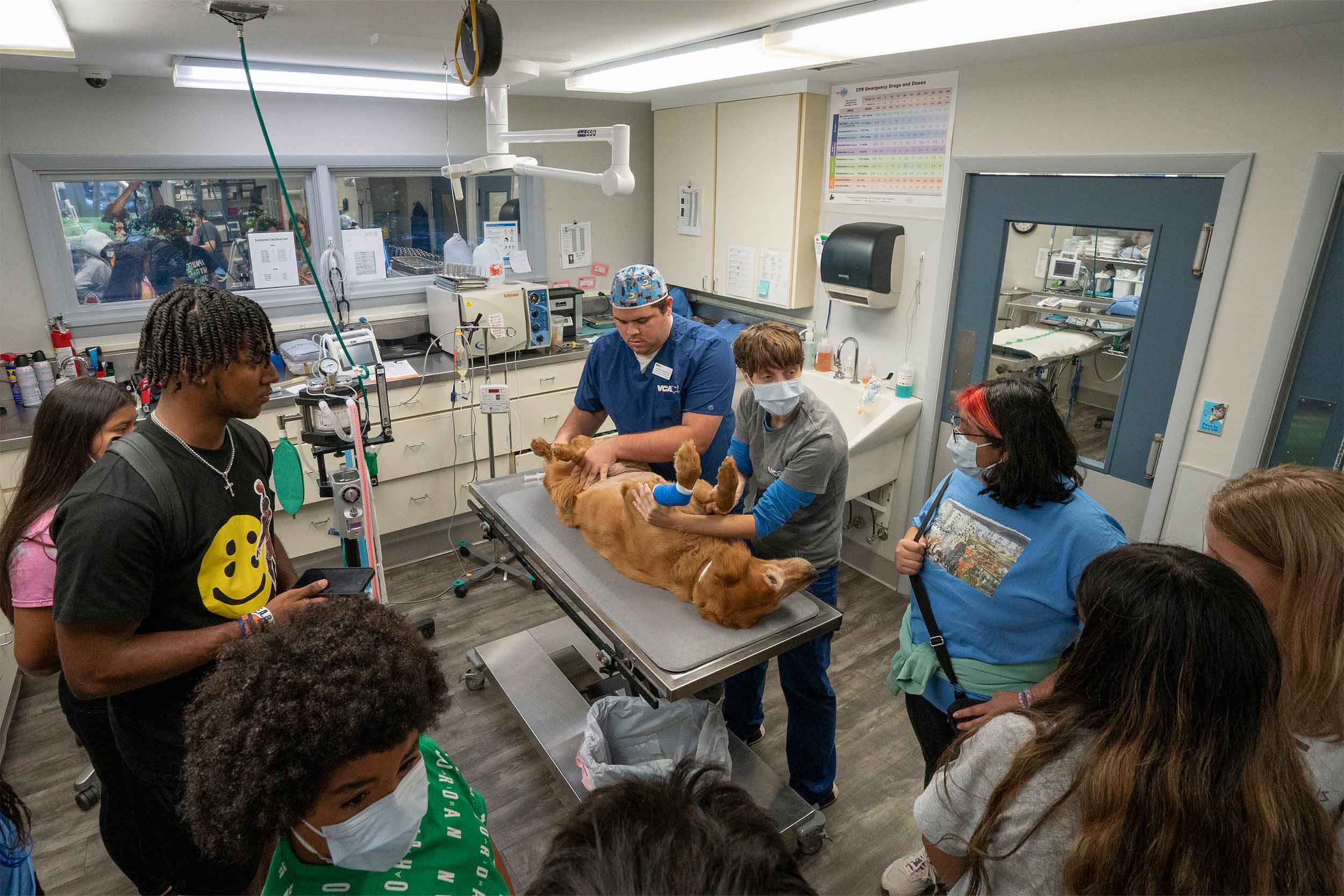 Students gather around a vet examination table to observe vet clinic work