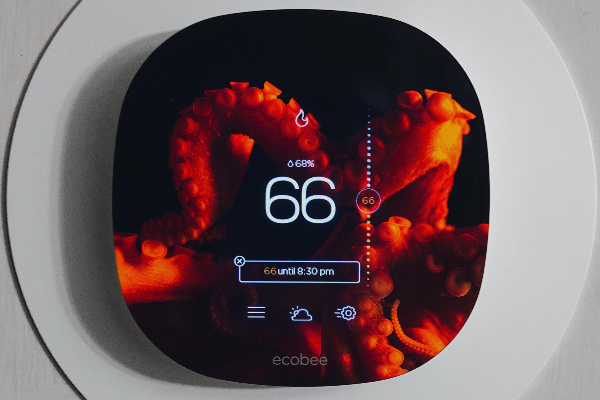 Illustration of a digital thermostat overlayed a photo of a squid