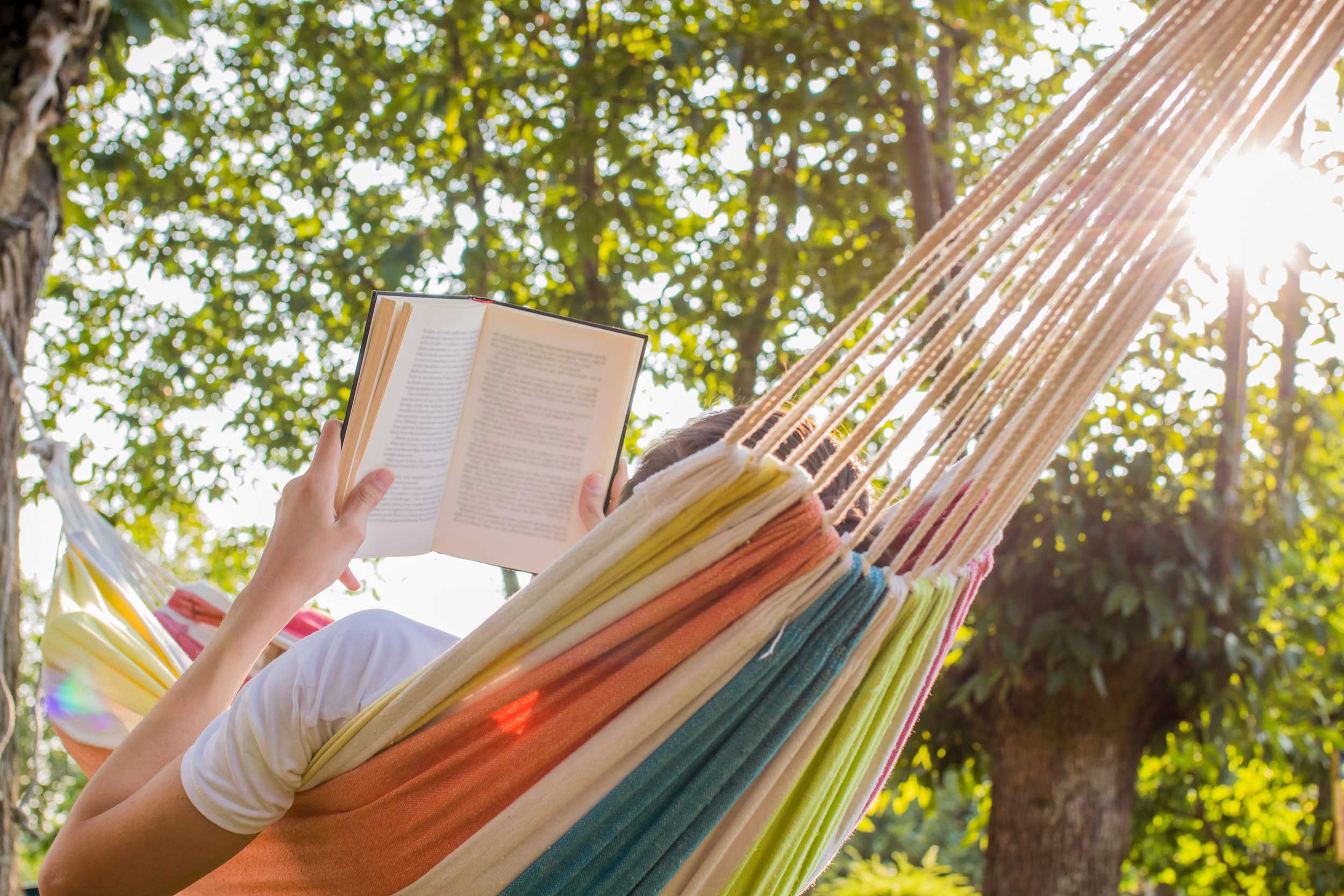 A person in a hammock reading a book on a summer day