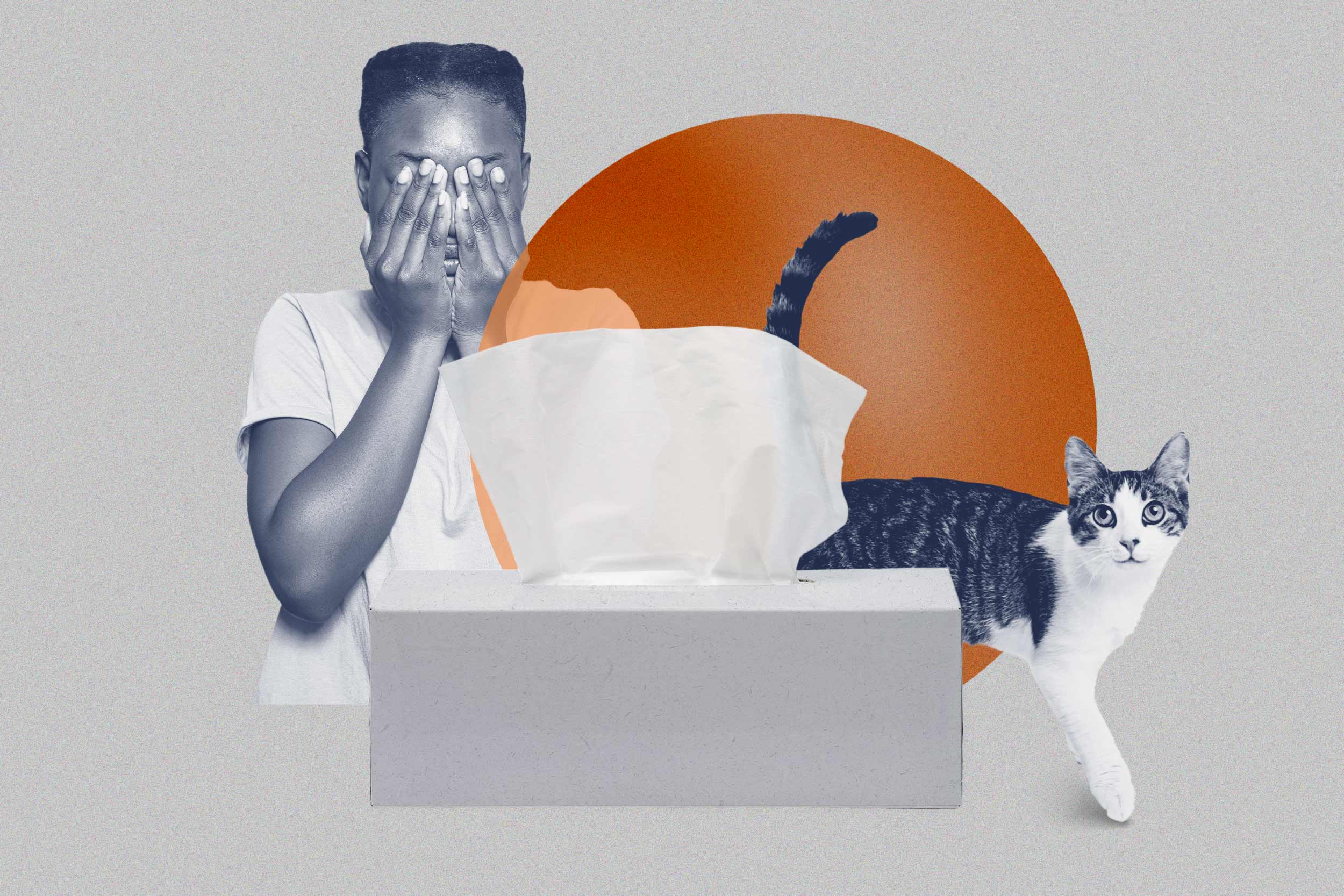 Photo illustration of tissues, a cat, pollen, and a person covering their face