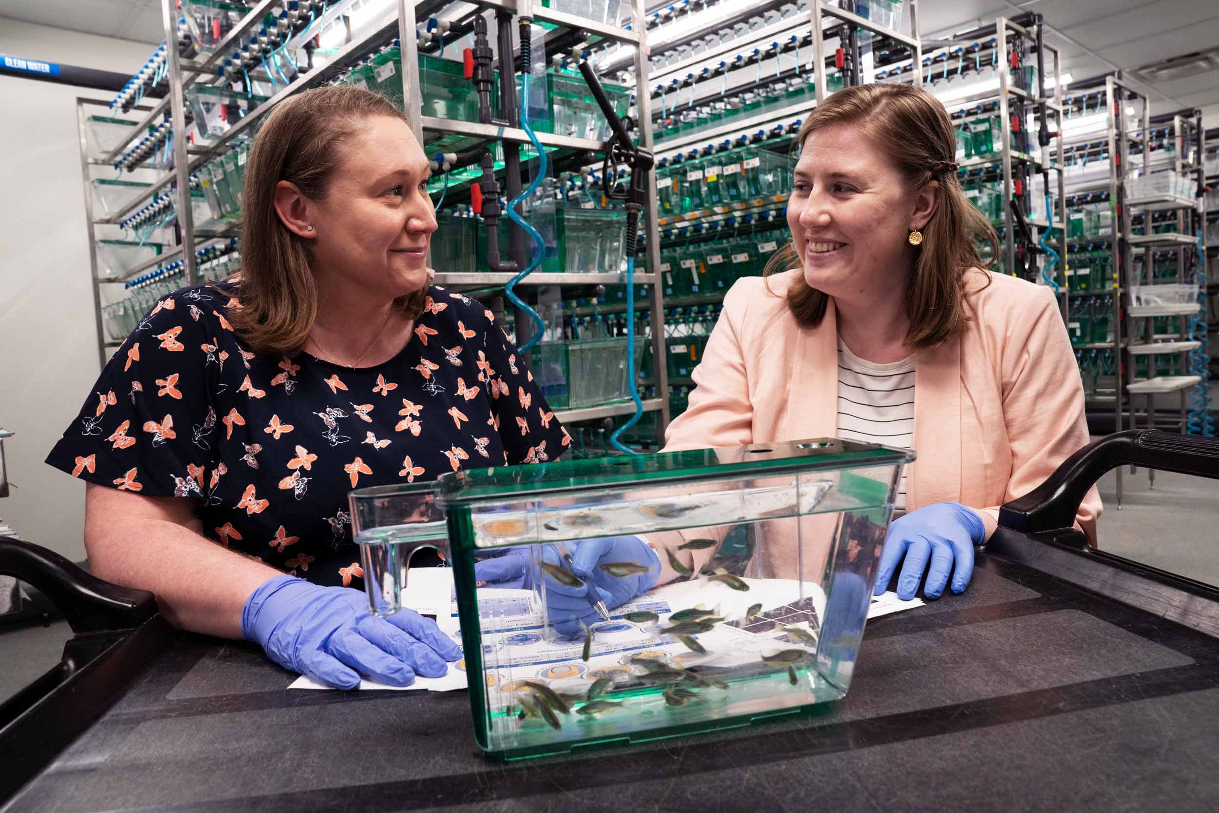 Two women wearing blue gloves talk to each other behind a small fishtank