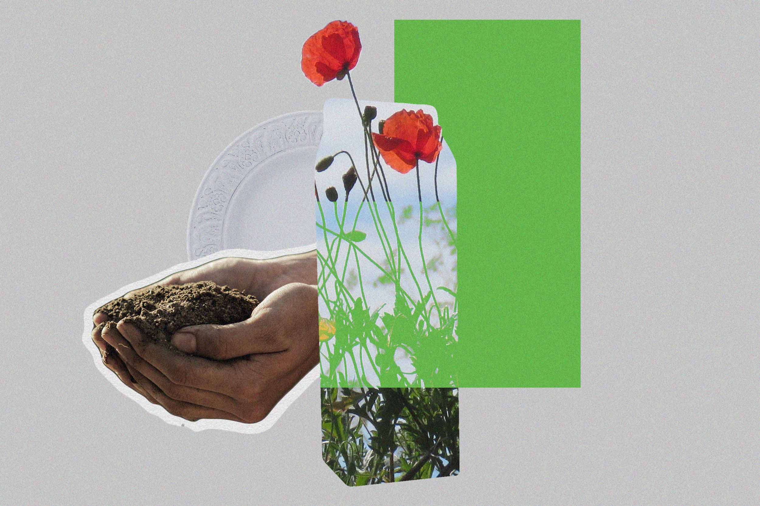 illustration of someone holding compost and a flower over top