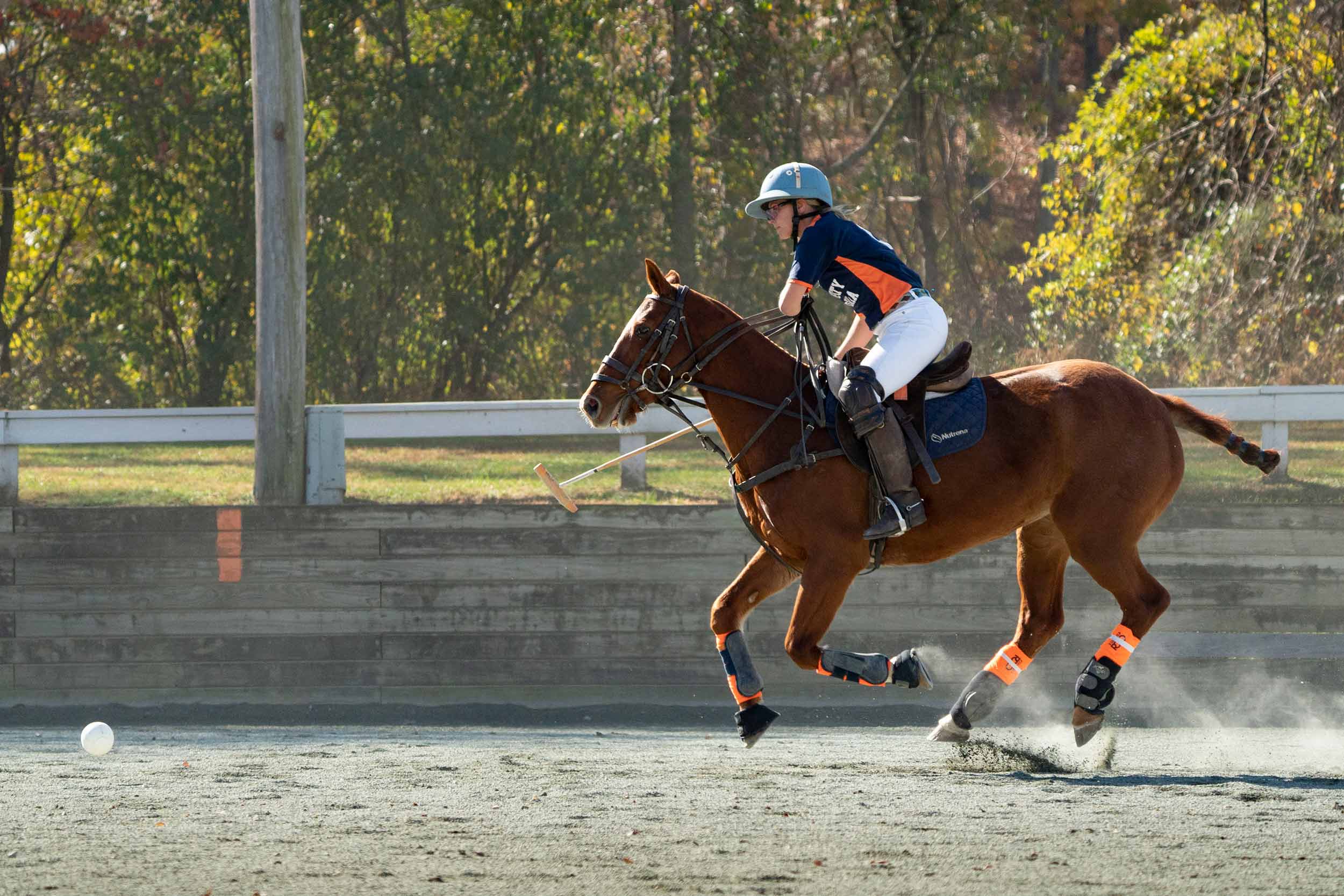 Polo rider riding on a horse