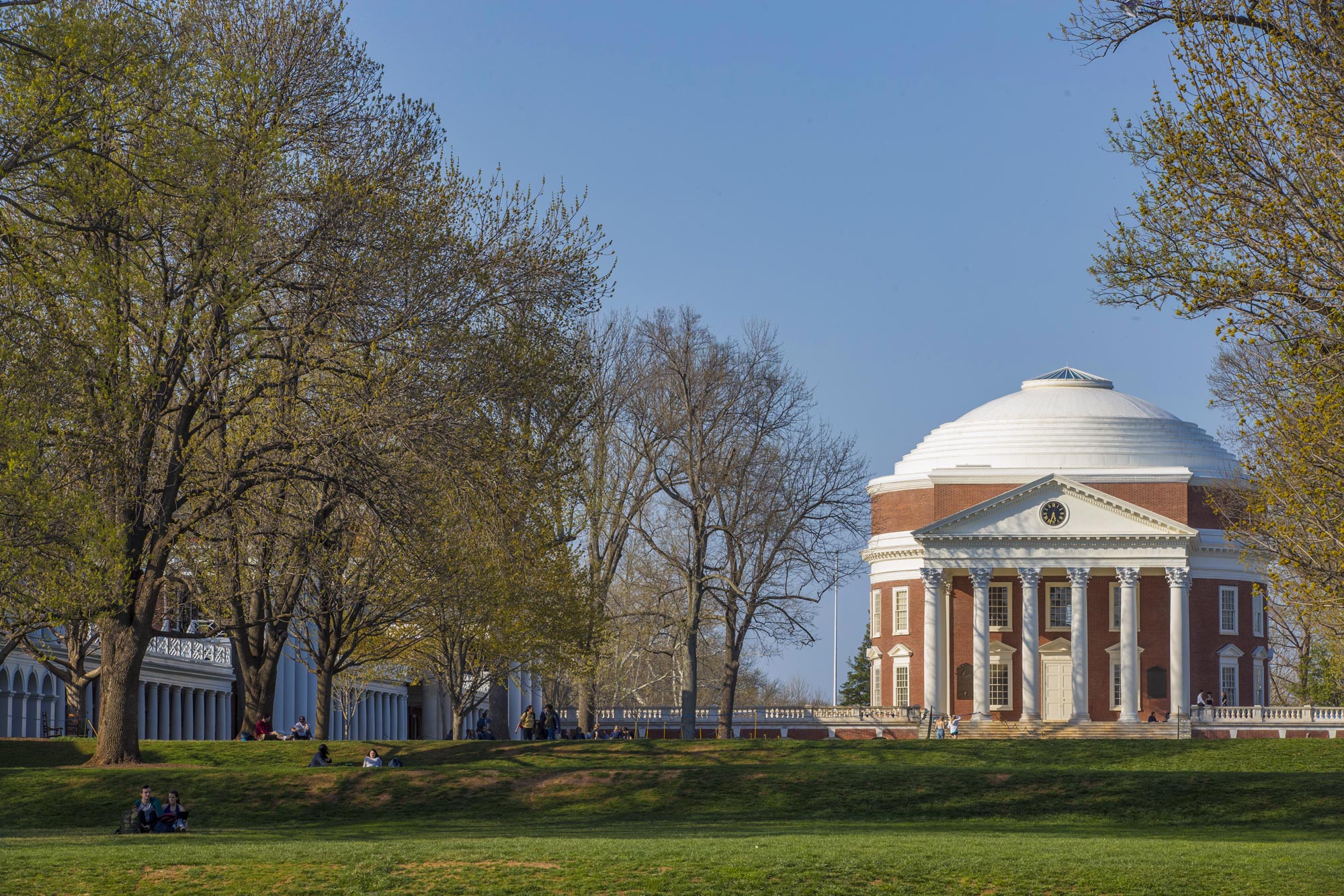 The Rotunda and the Lawn