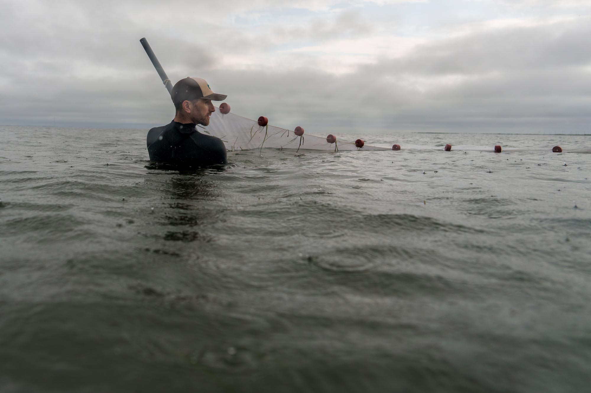 costal researcher setting a small net in place along Virginia's Atlantic coast