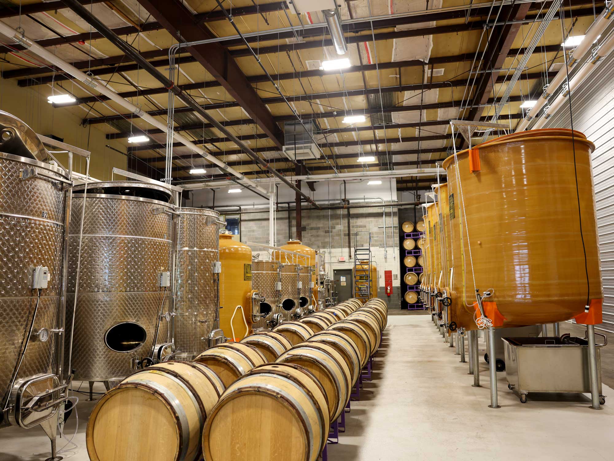 A portrait of the winemaking tank room, showcasing numerous barrels.