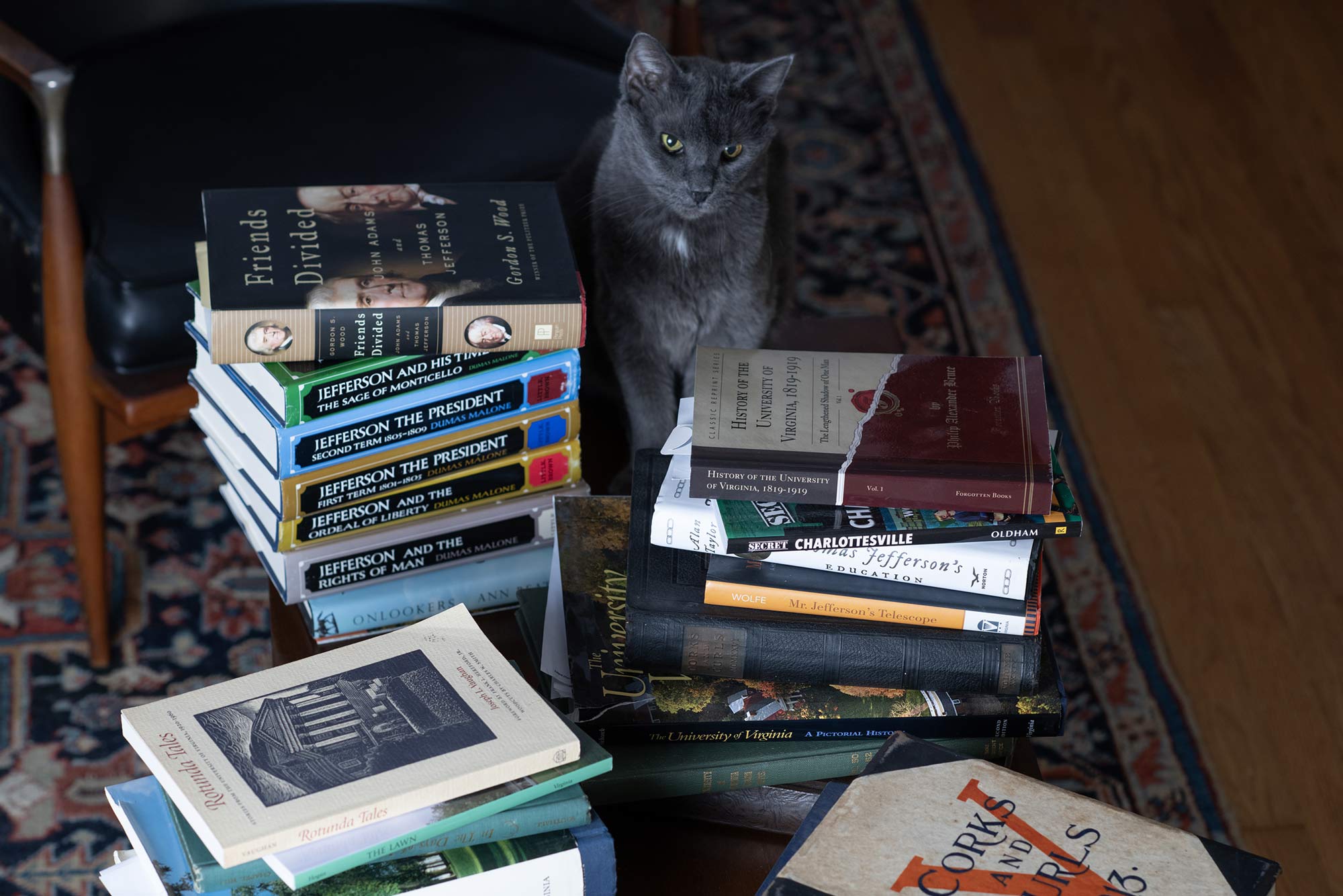 Smokey the cat sitting on the floor amoung piles of UVA books