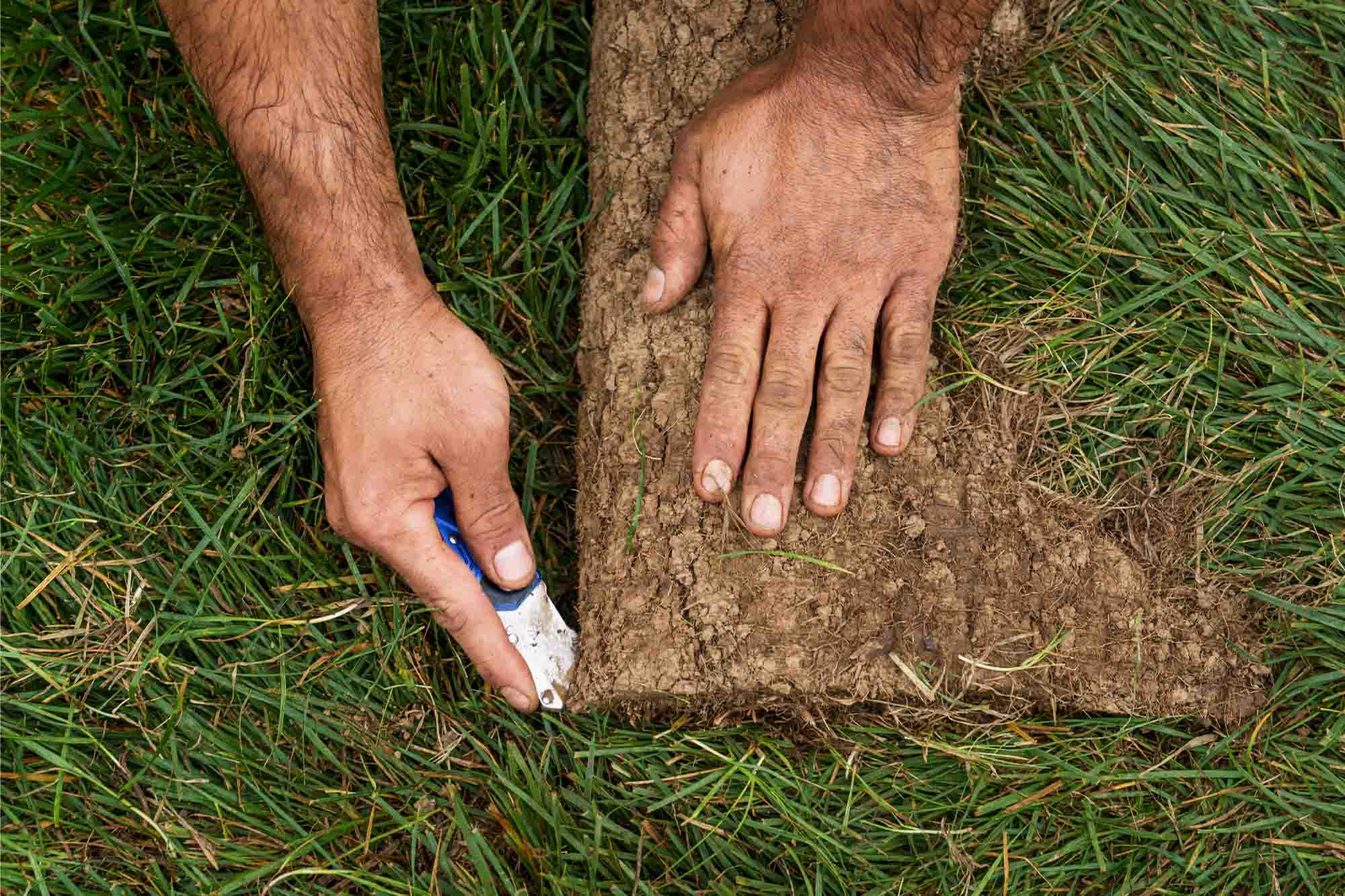 Aaron Motto cutting some turf