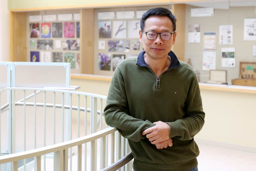 Martin Wu