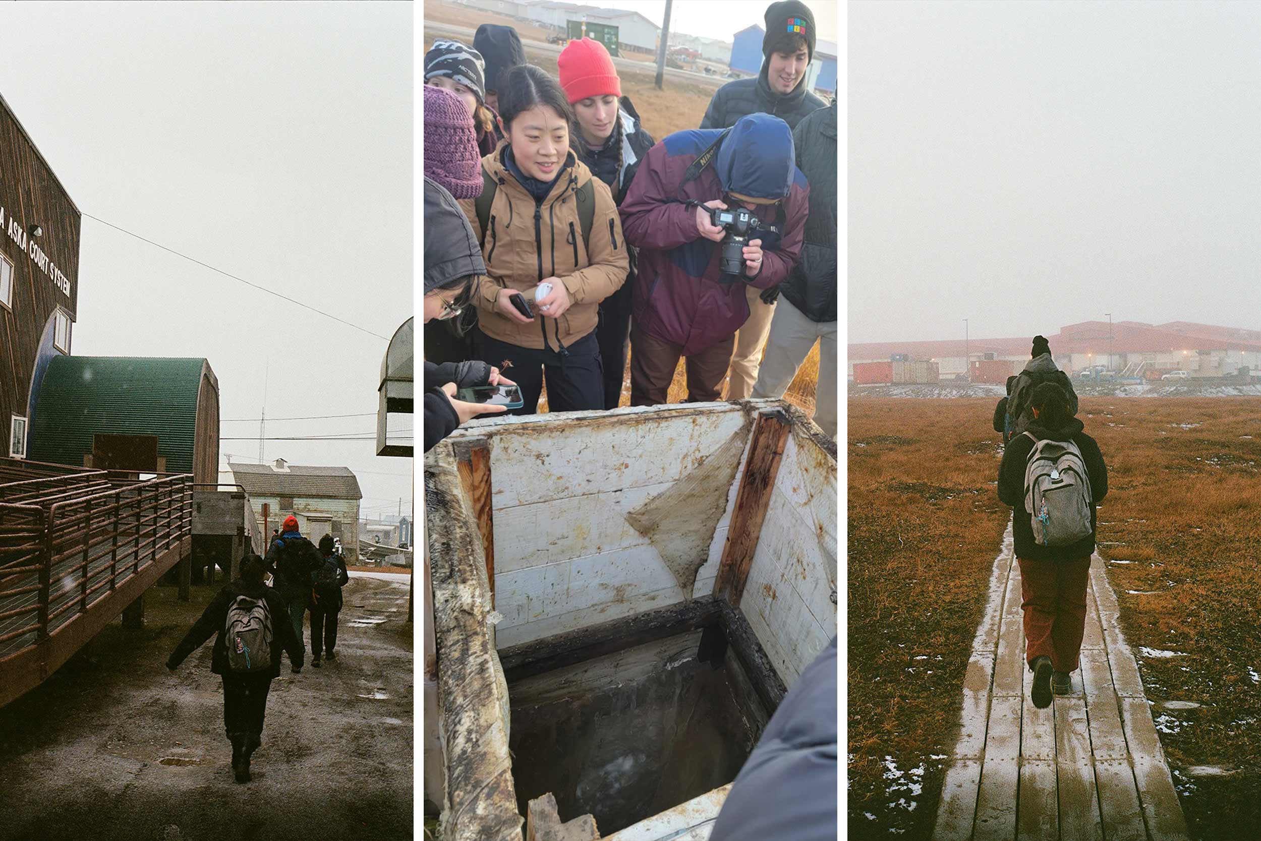 Collage portrait of a UVA student taken during their Arctic visit as an active researcher.