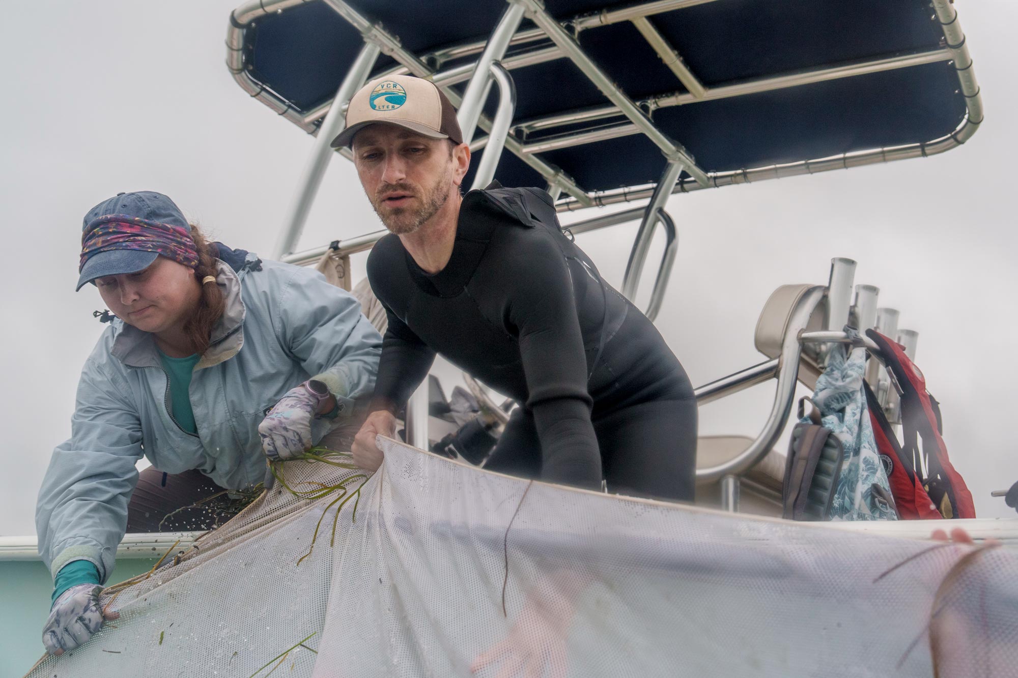 Max Castorani and his students hauling in a net to study oysters on the Virginia Atlantic coast