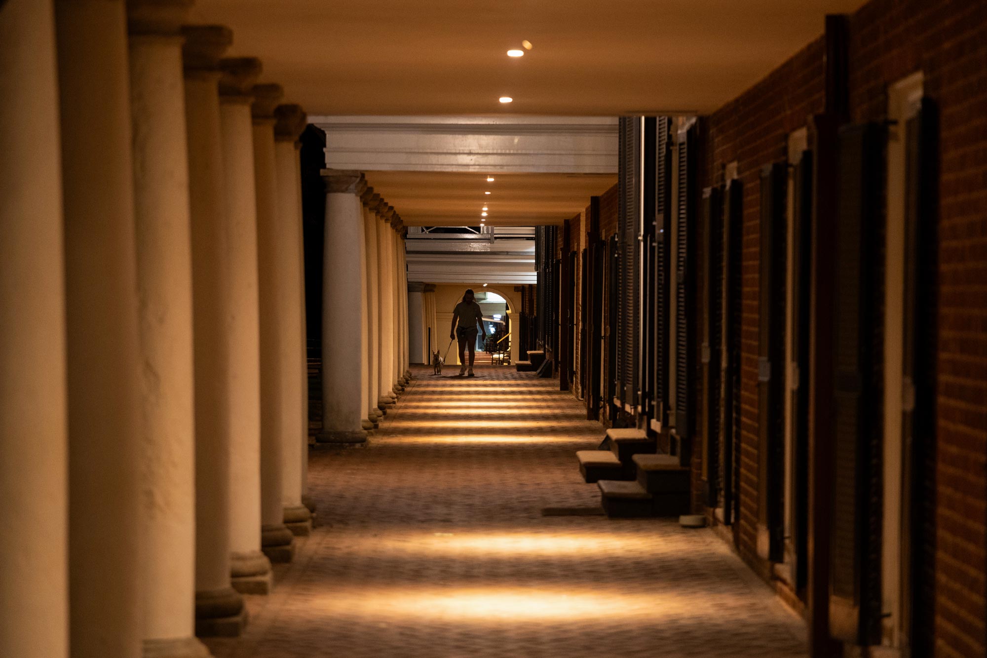 A dog being walked down a corridor along the Lawn rooms