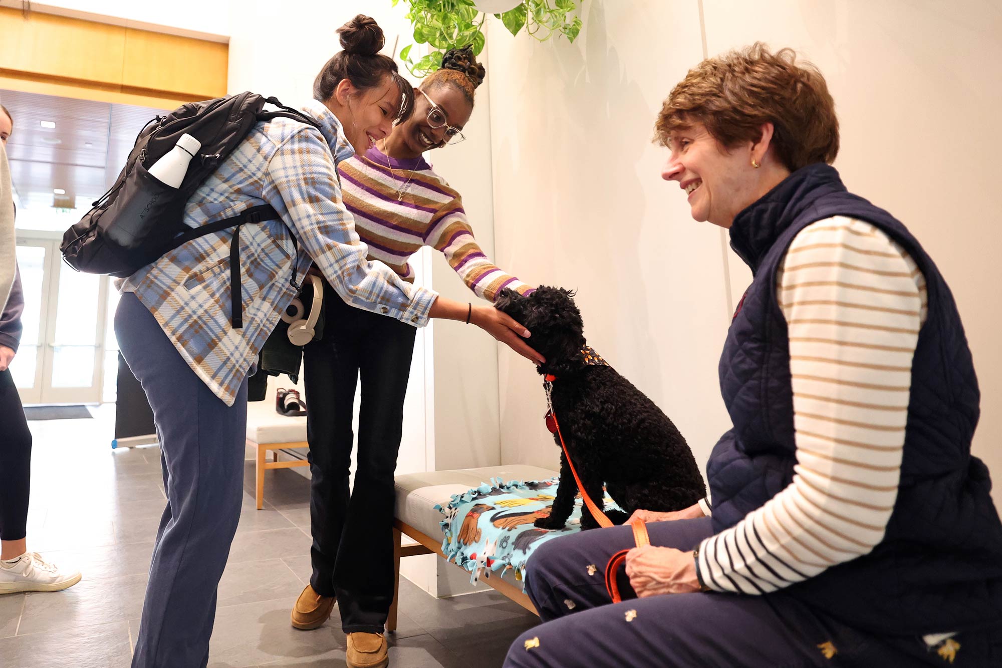 Portrait of a student pampering UVA therapy dog Toby.