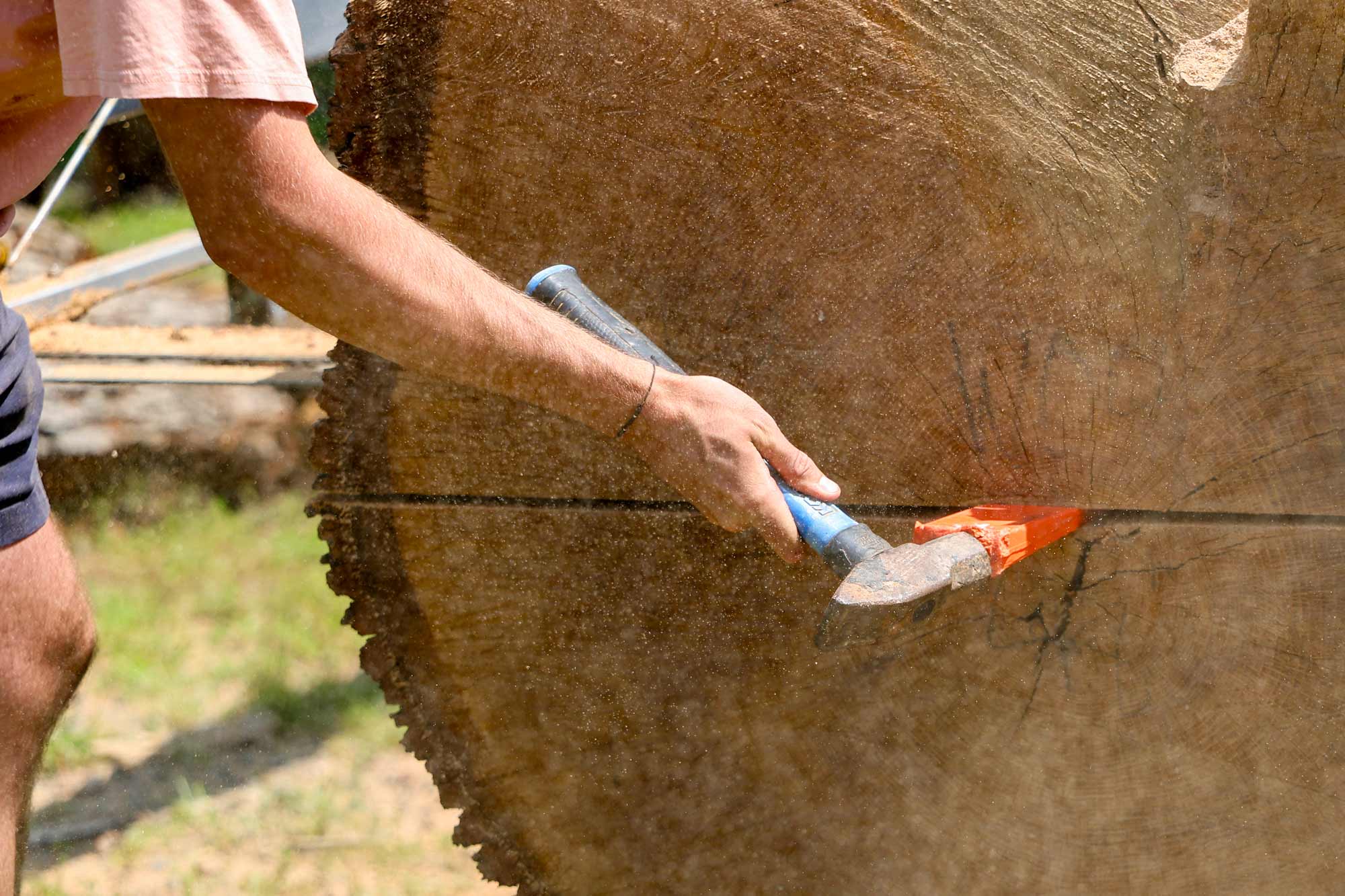 Portrait of Pryce Foyt hammers a plastic shim wedge into the saw cut as Wade Cotten cuts a 14-inch slab from a white oak log.