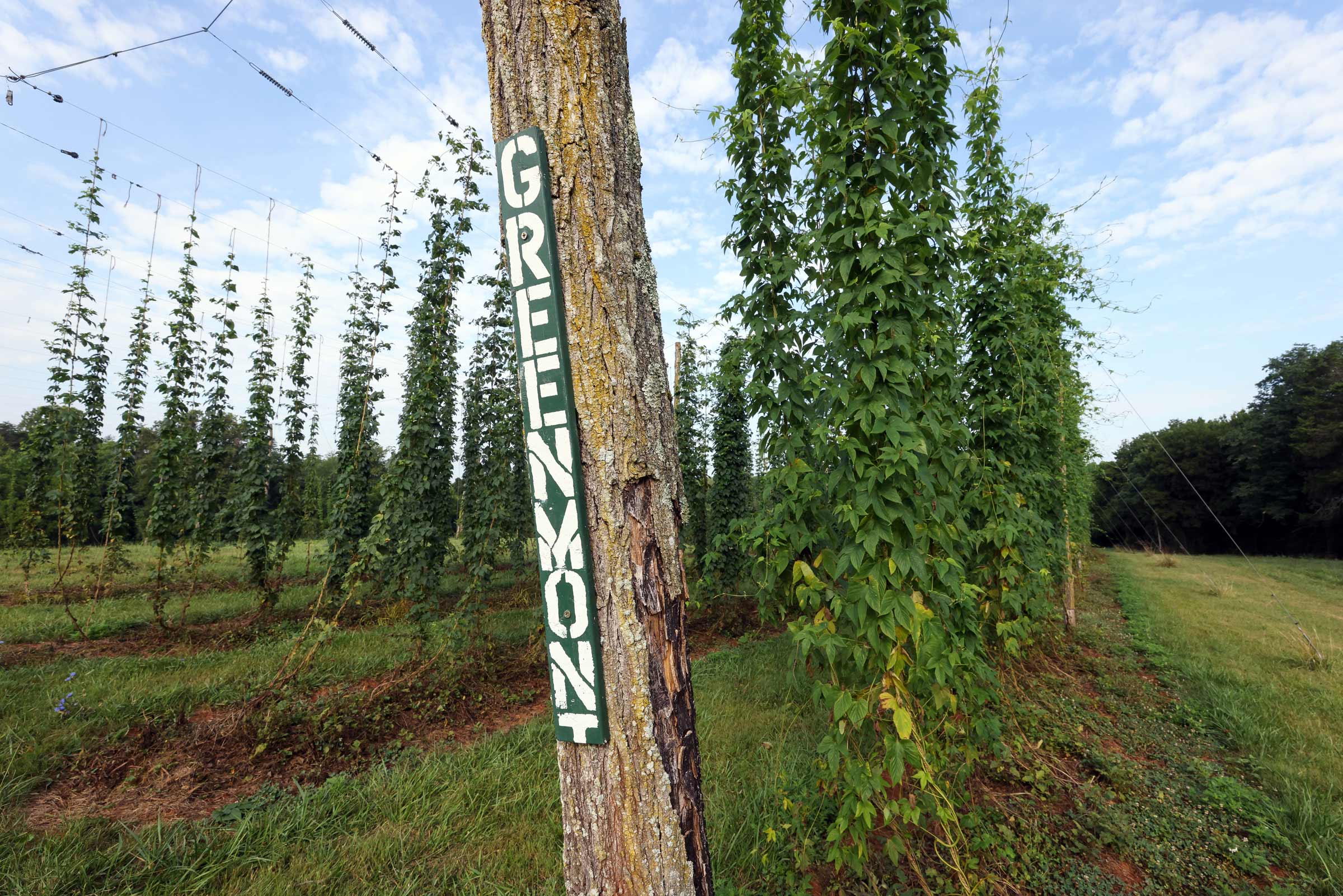 A hand painted "Greenmont" sign n one of the posts outside of the hop farm