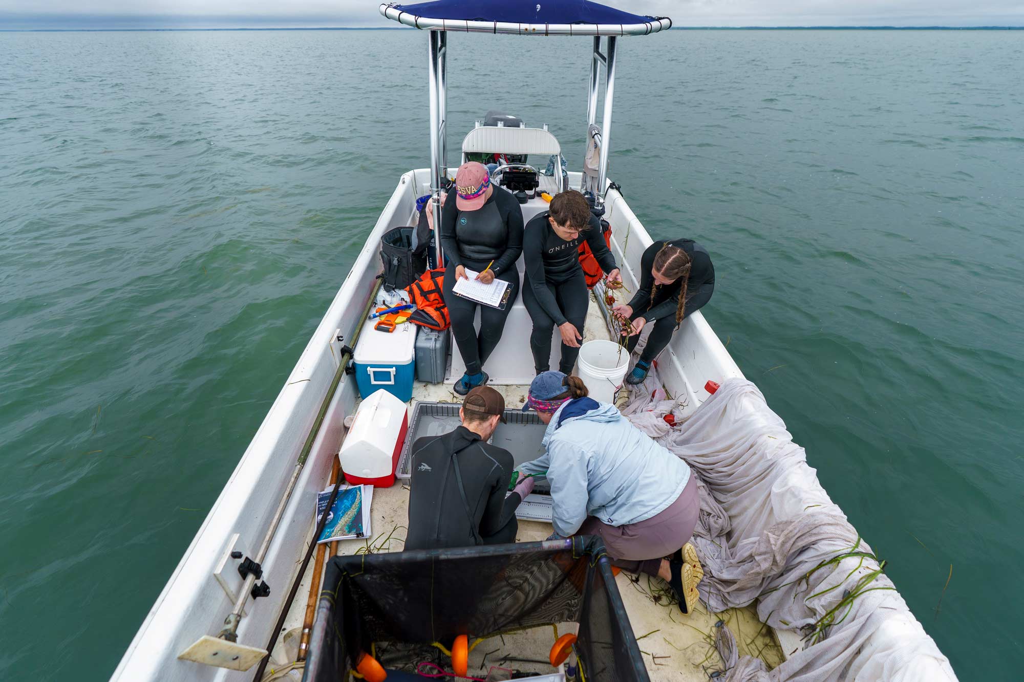 UVA Costal Researchers measuring and recording species in their boat before releasing them back to the ocean