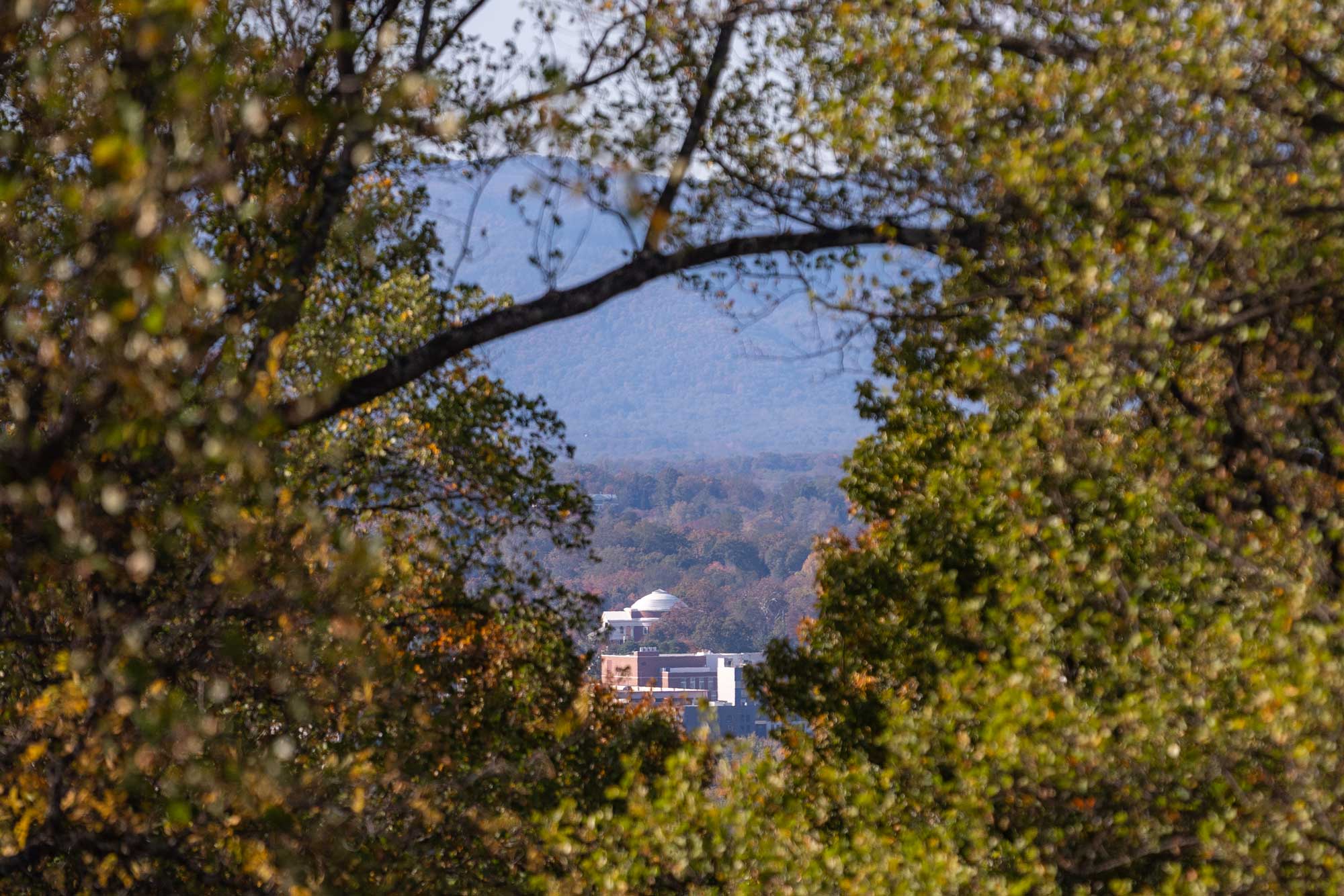 View of the University of Virginia from Monticello