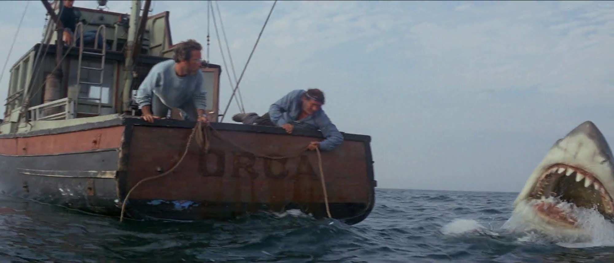 A scene from movie “Jaws”