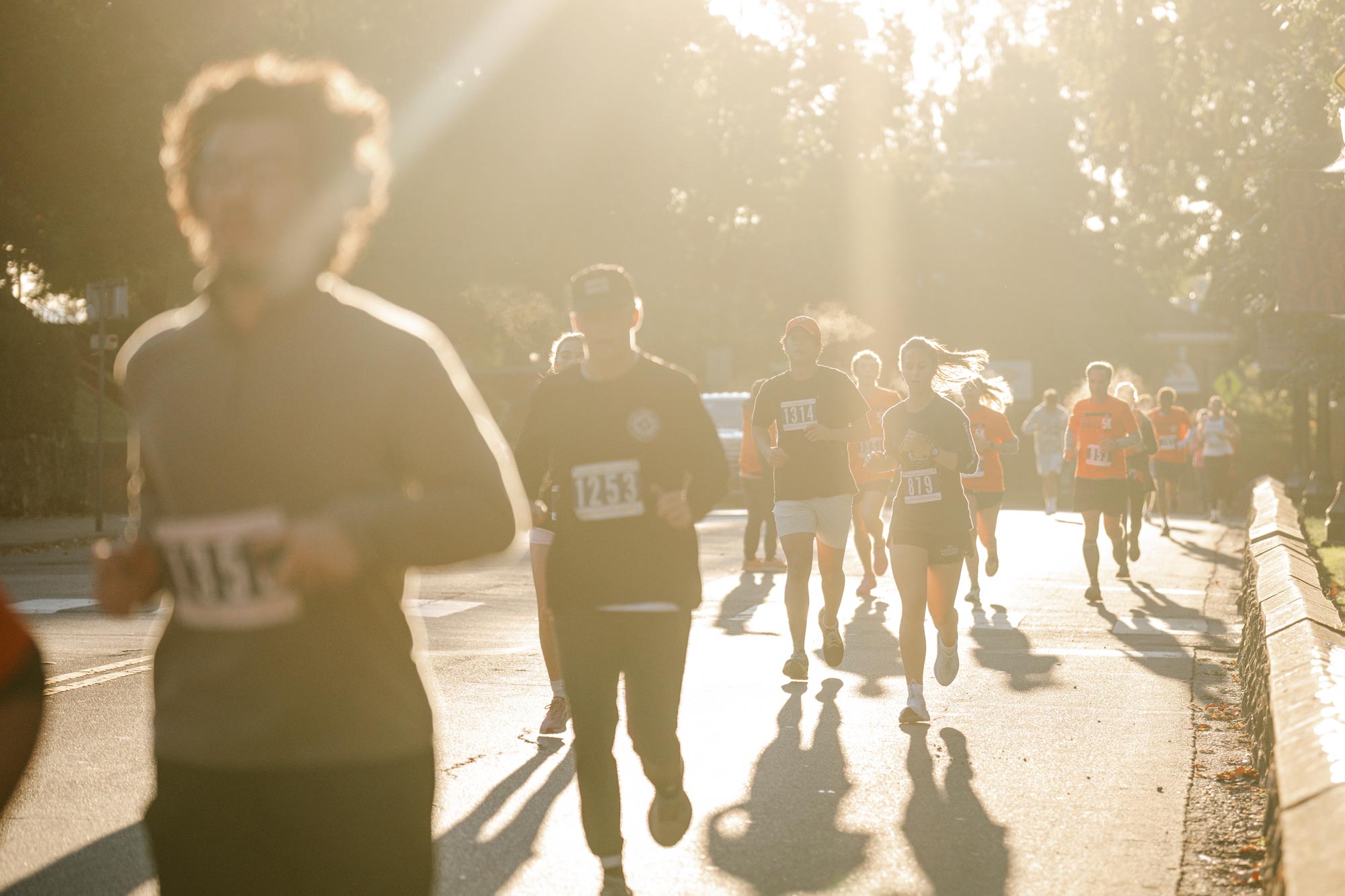 The sun shines brightly over some runners