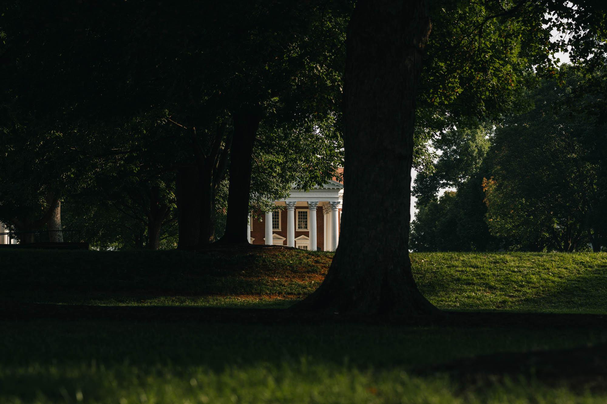 The Rotunda peaking through the trees on the Lawn