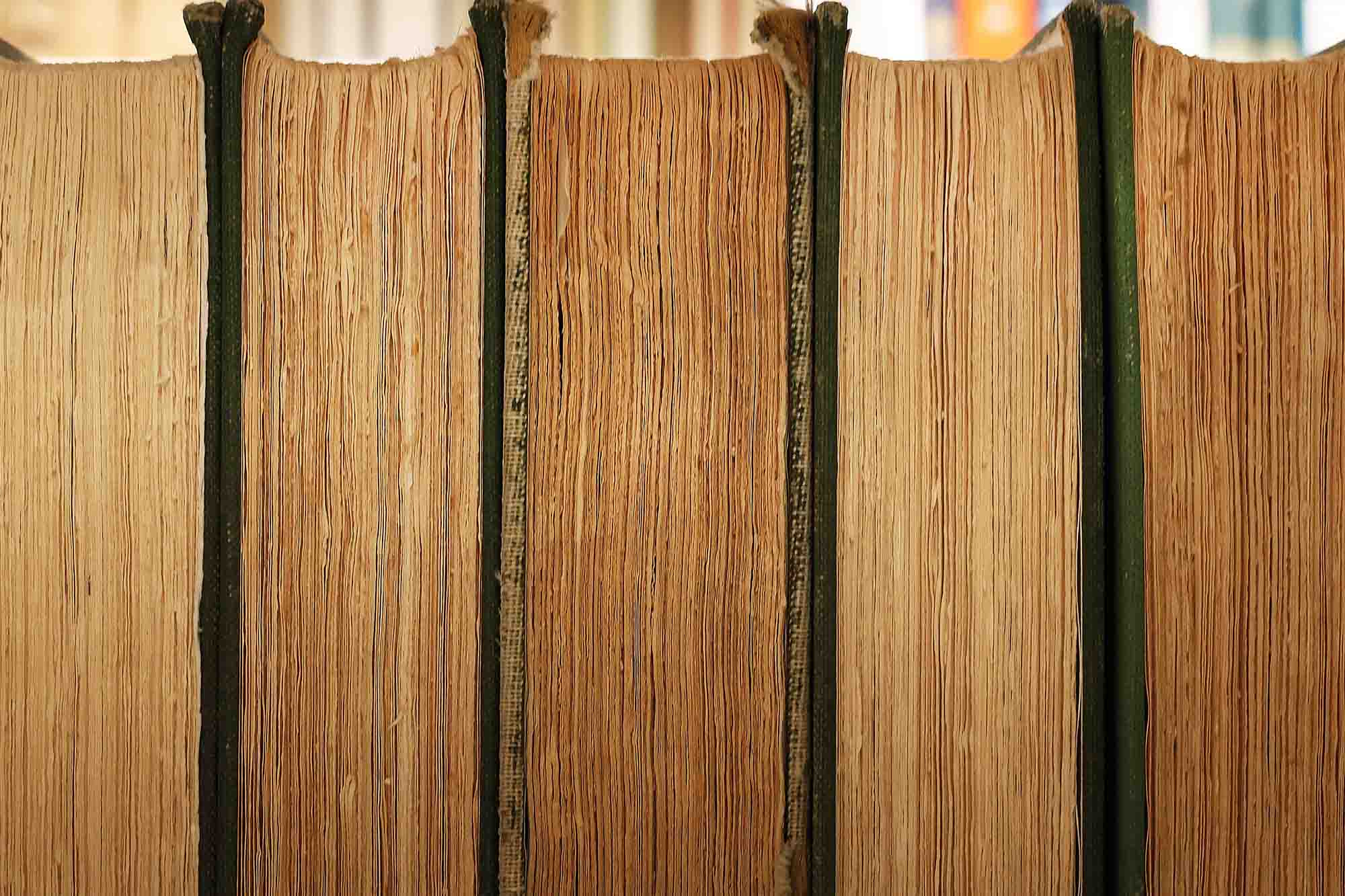 Close up of weathered books in Shannon Library