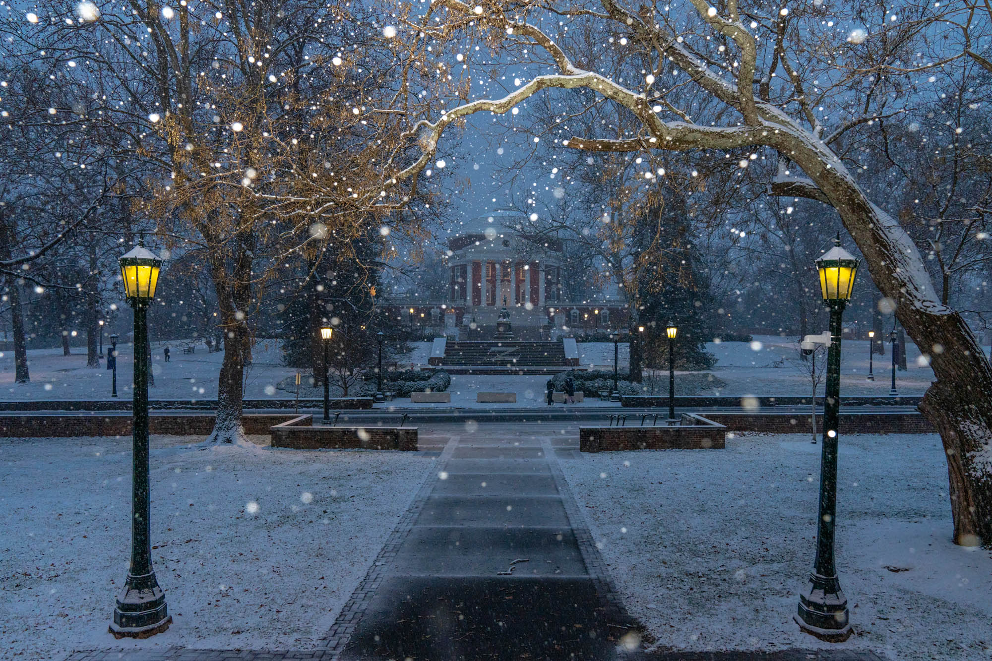 Perfect evening snow falling picture on Grounds