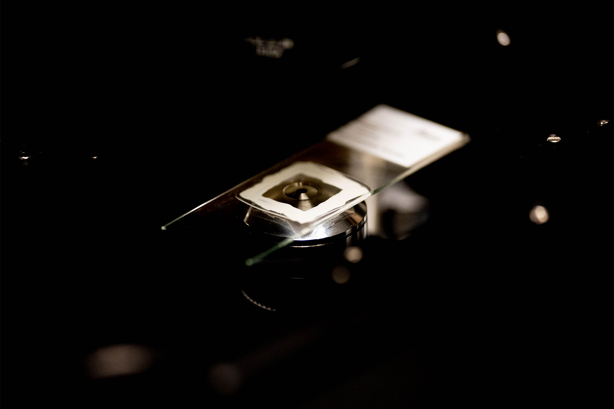 A glass slide is visible on a dark background