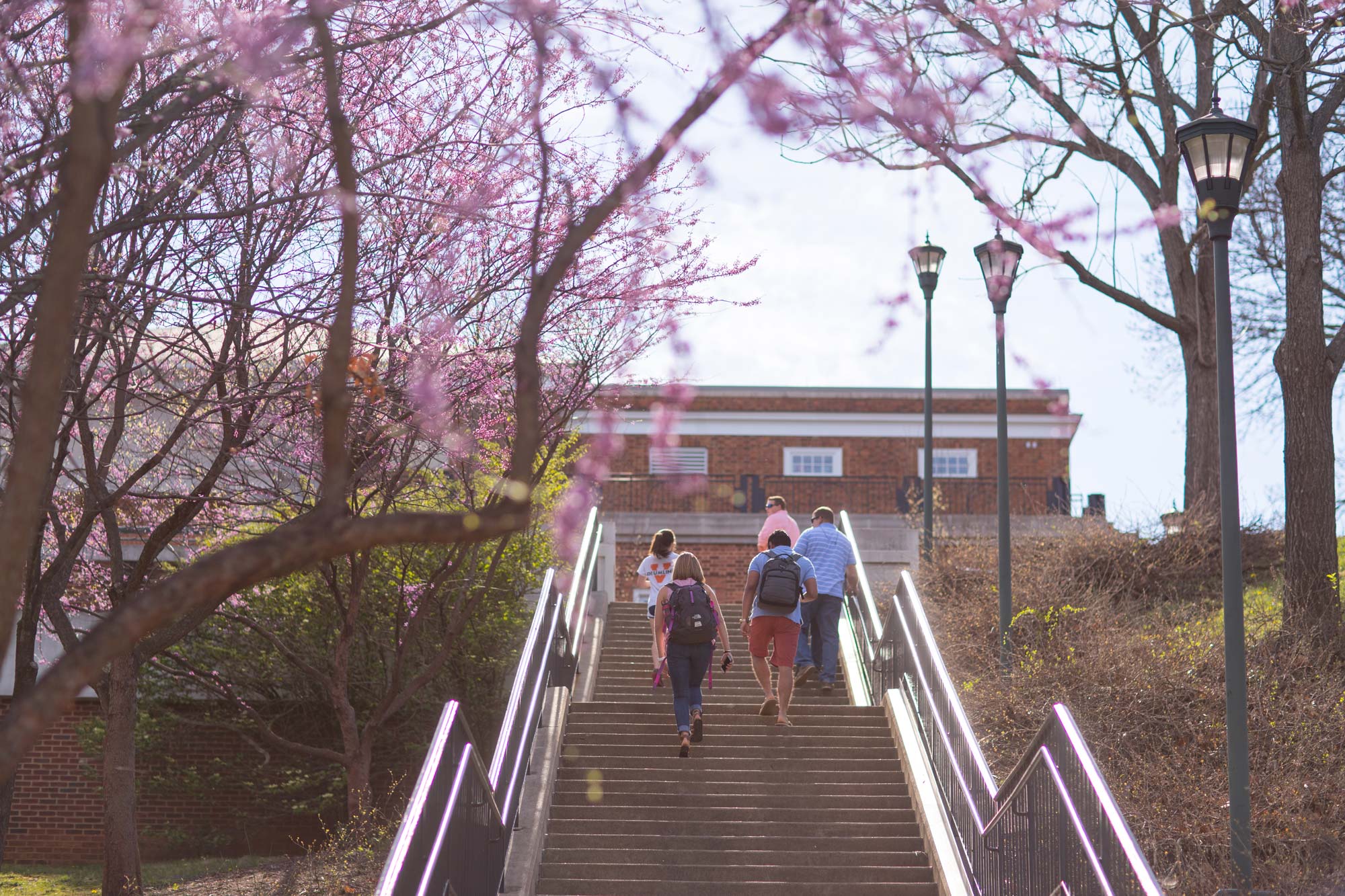 Students walking up an outdoor flight of stairs