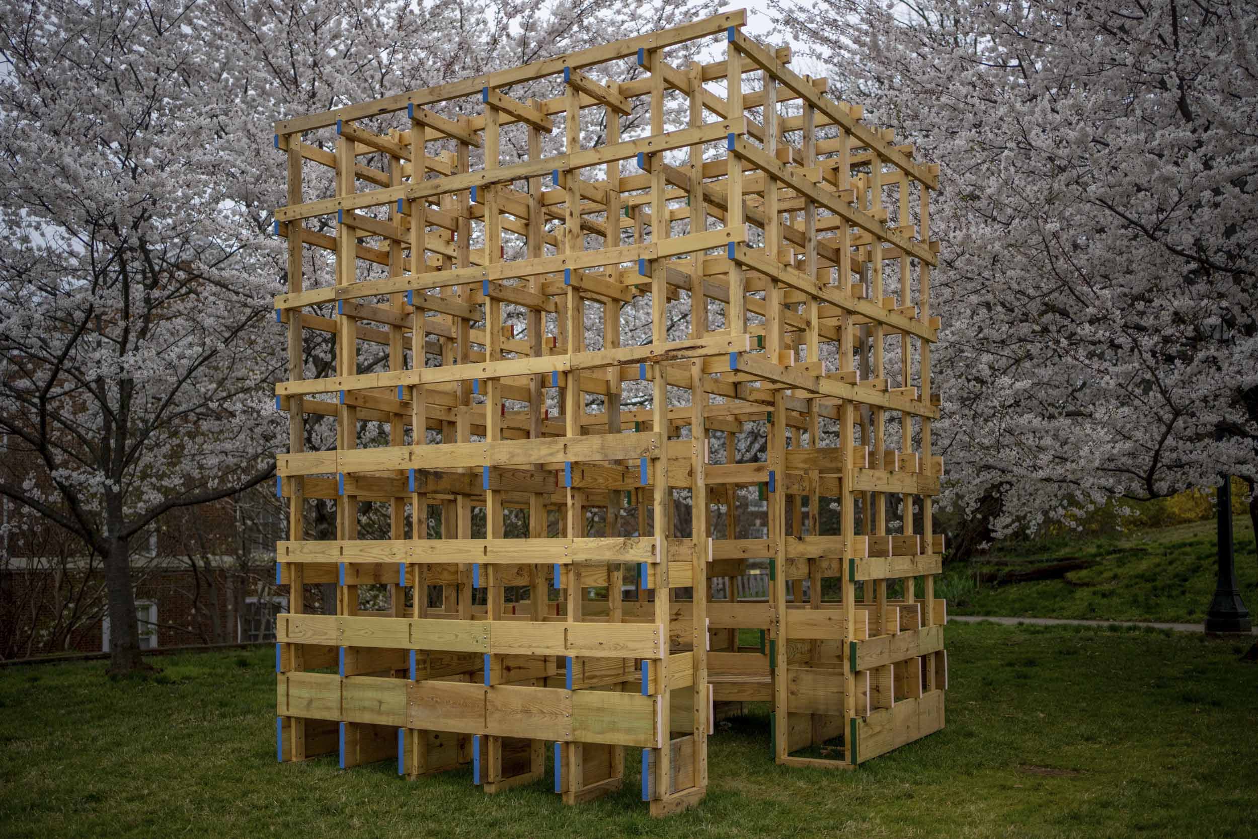 A 3-dimensional grid made of lumber under blooming Bradford Pear trees