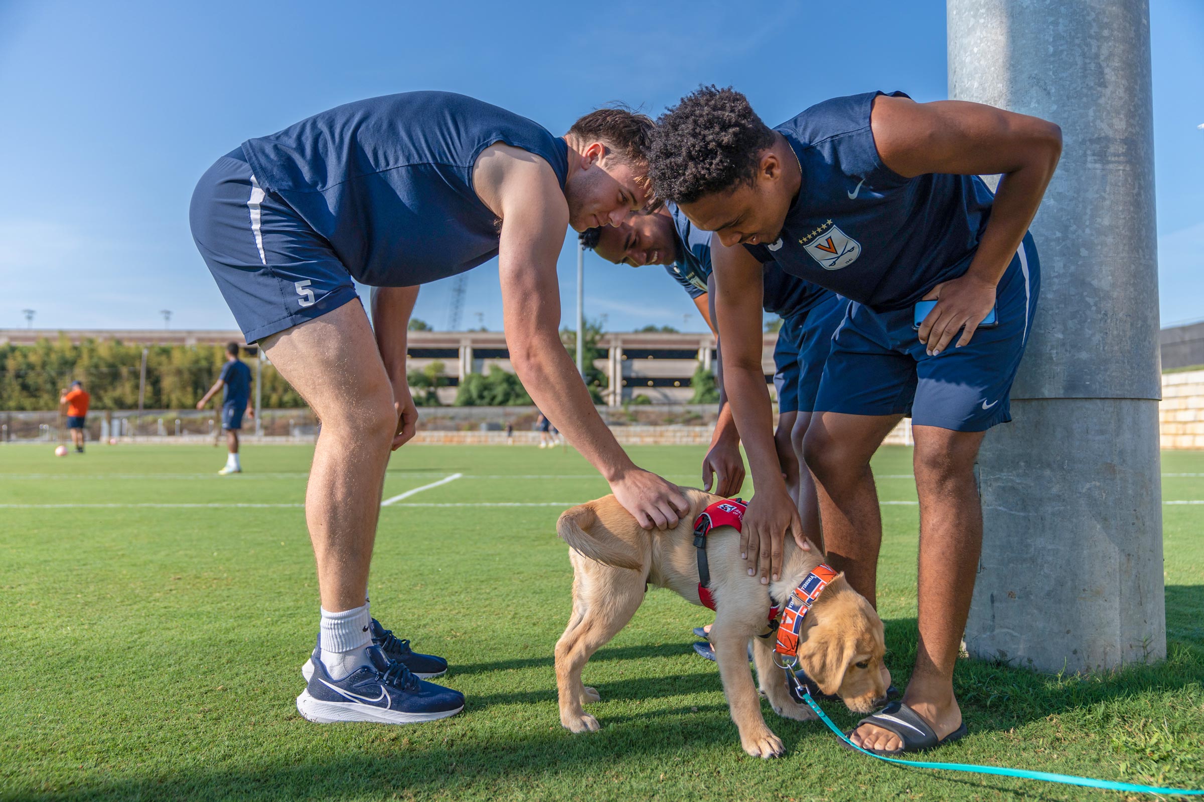 Three soccer players lean down to pet Champ, who is sniffing their feet.