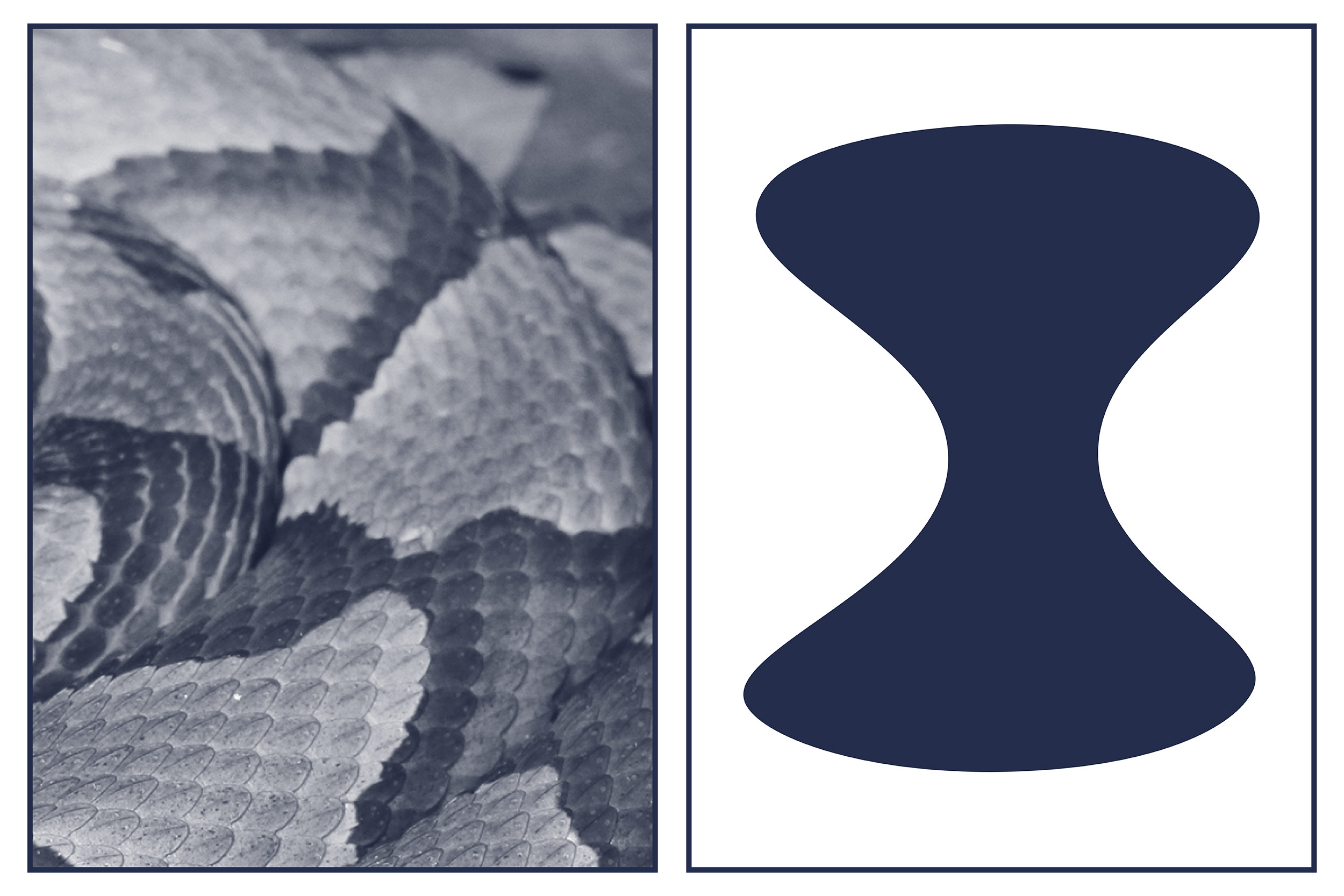 Close up of copperhead snake's pattern and a drawing of the hourglass shape