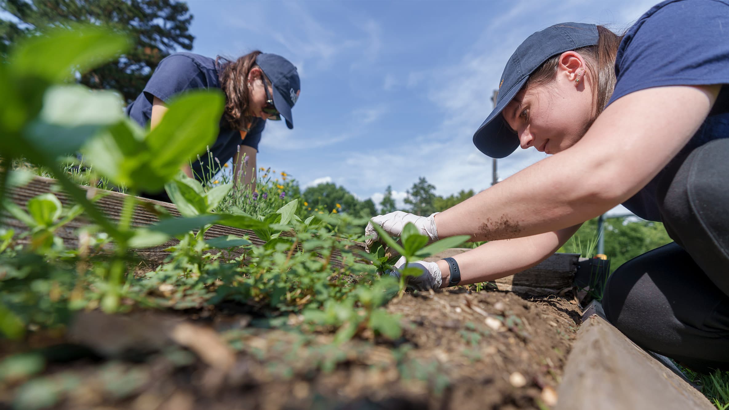 Portrait of a person doing some gardening.