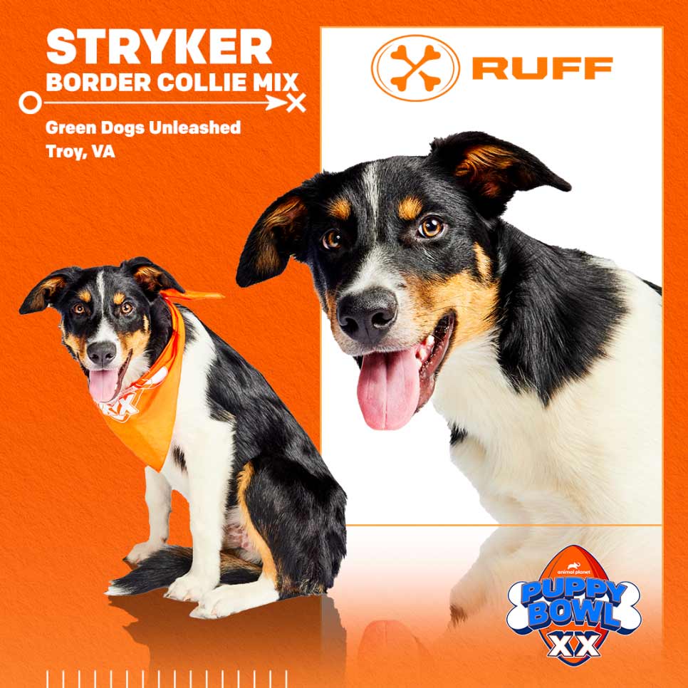 Poster of Stryker 
