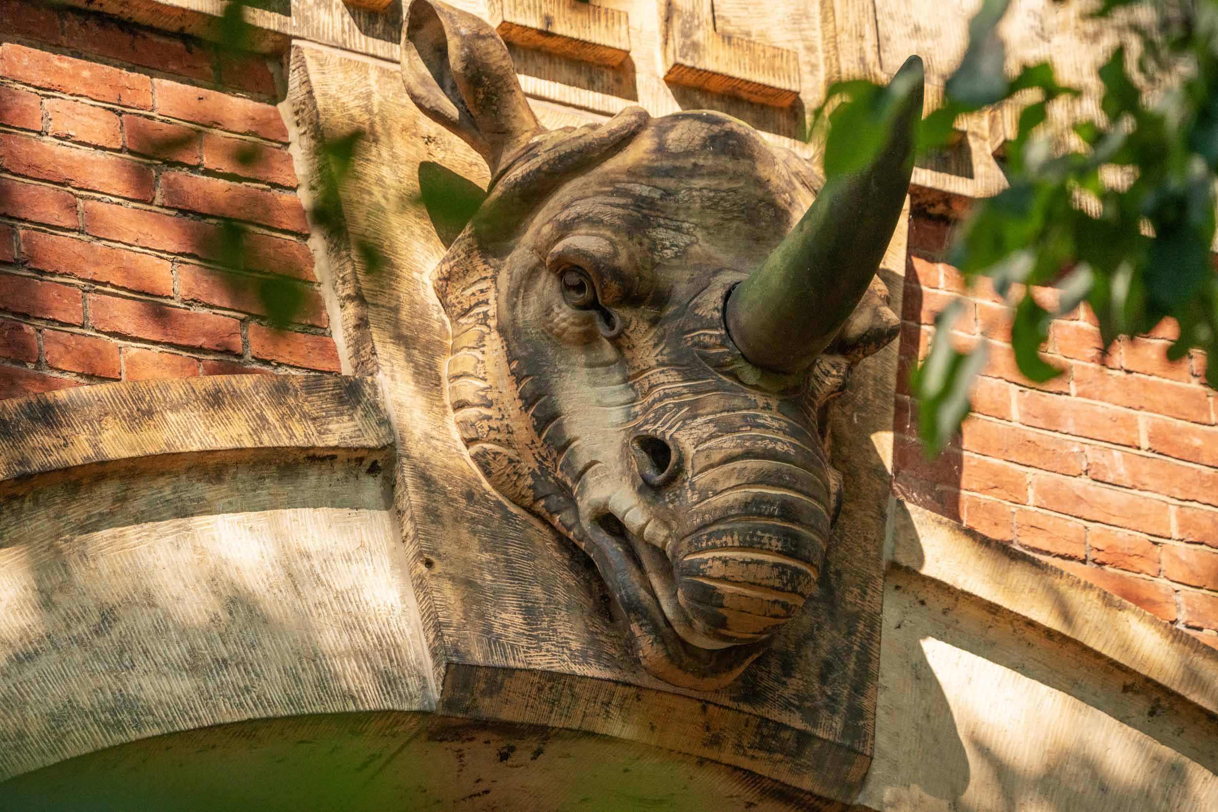 Rhino head above door entrance