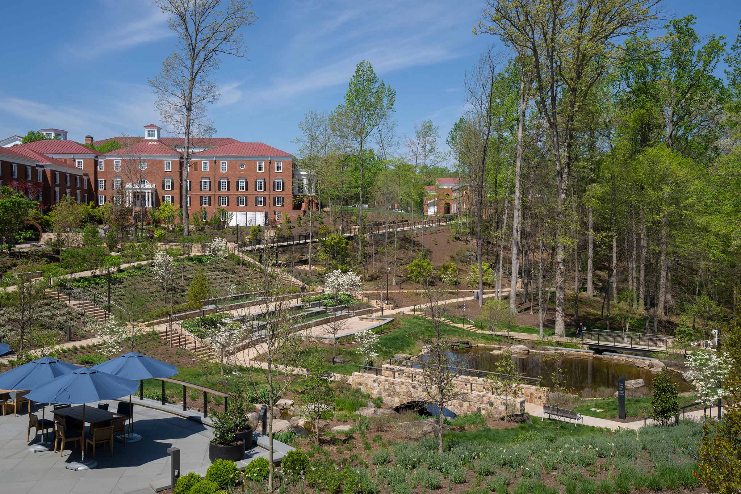 An overview shot of the new arboretum