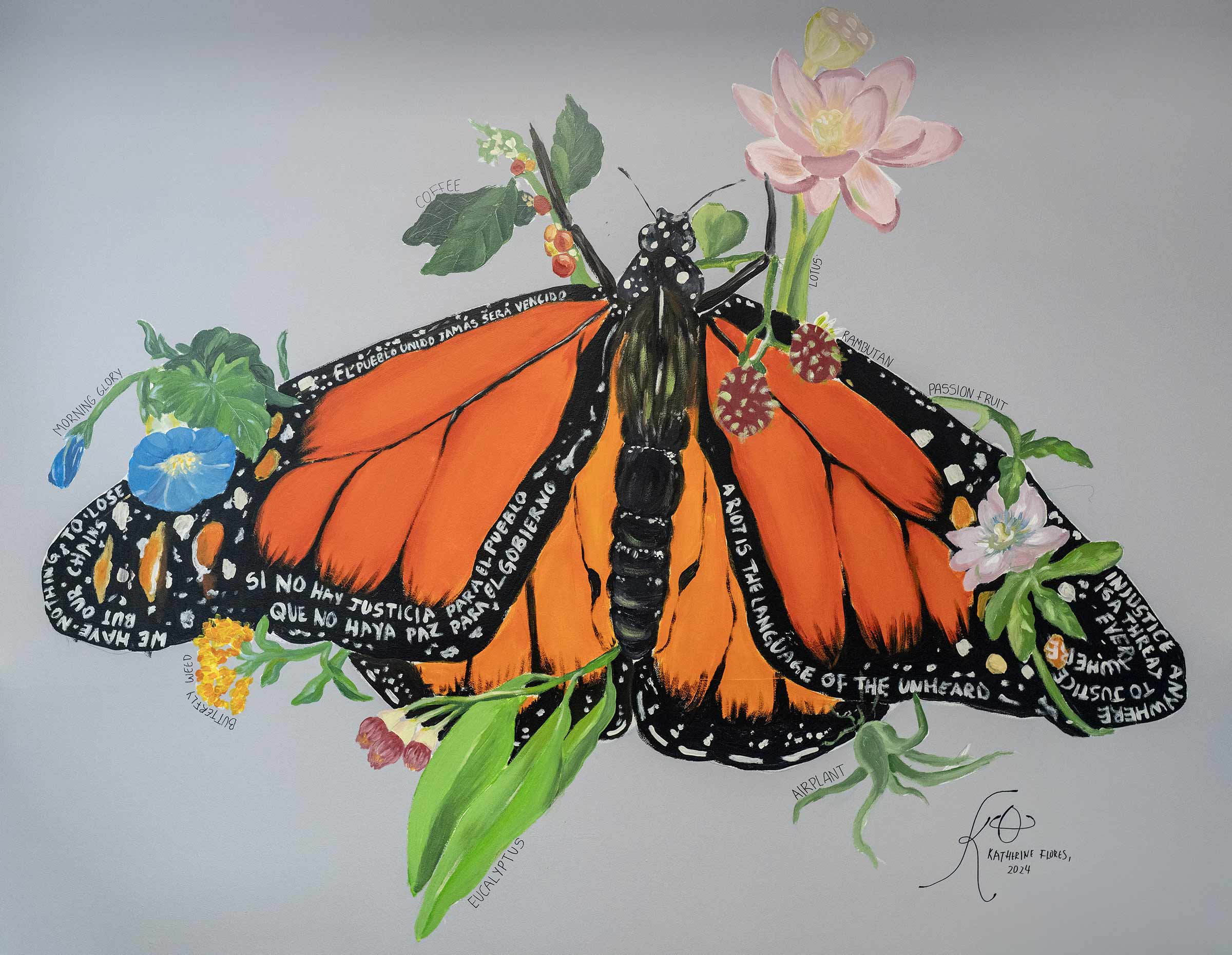 Illustration of Butterfly 
