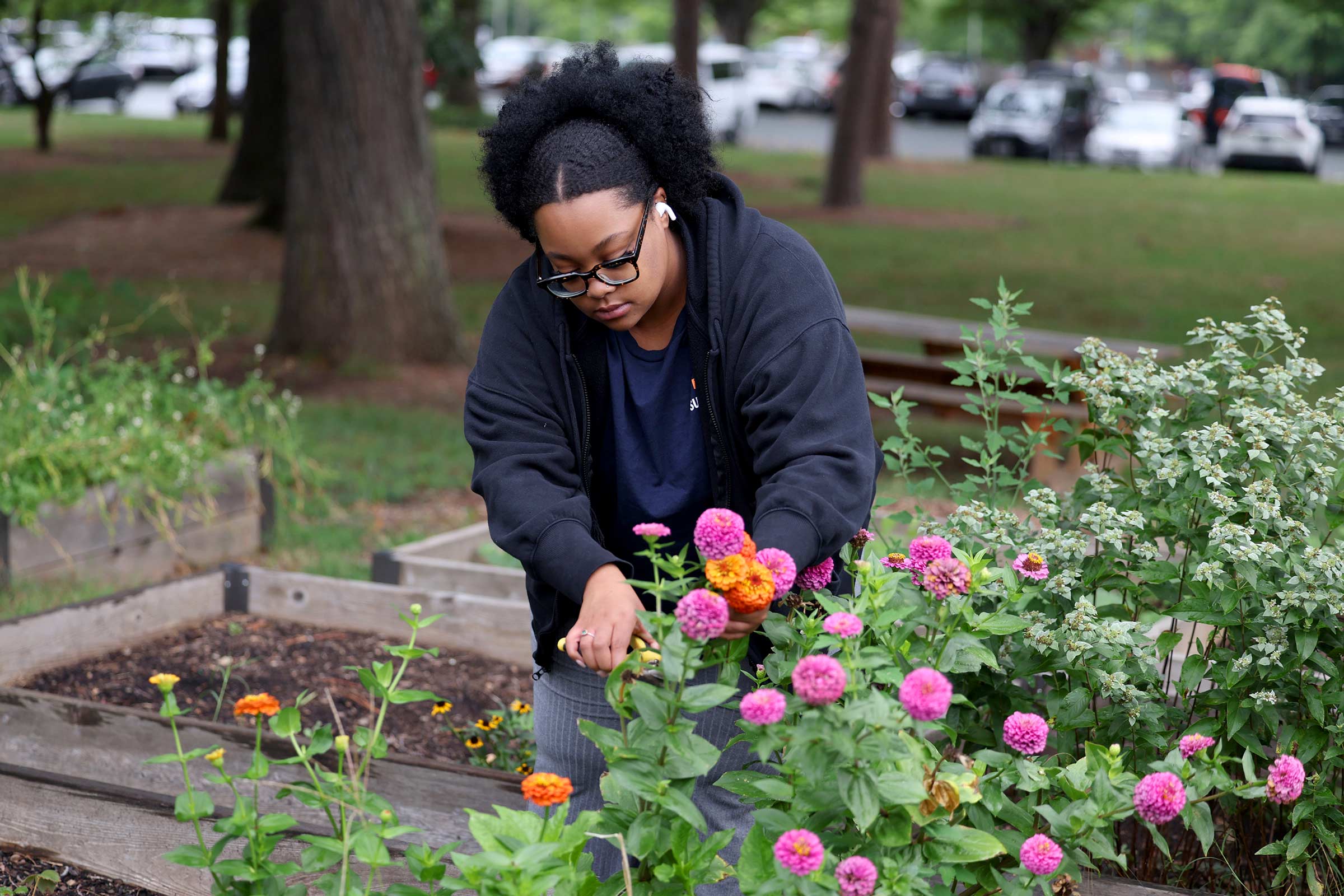 Jordyn Hicks harvests some flowers in the student government Alderman/McCormick student garden. 