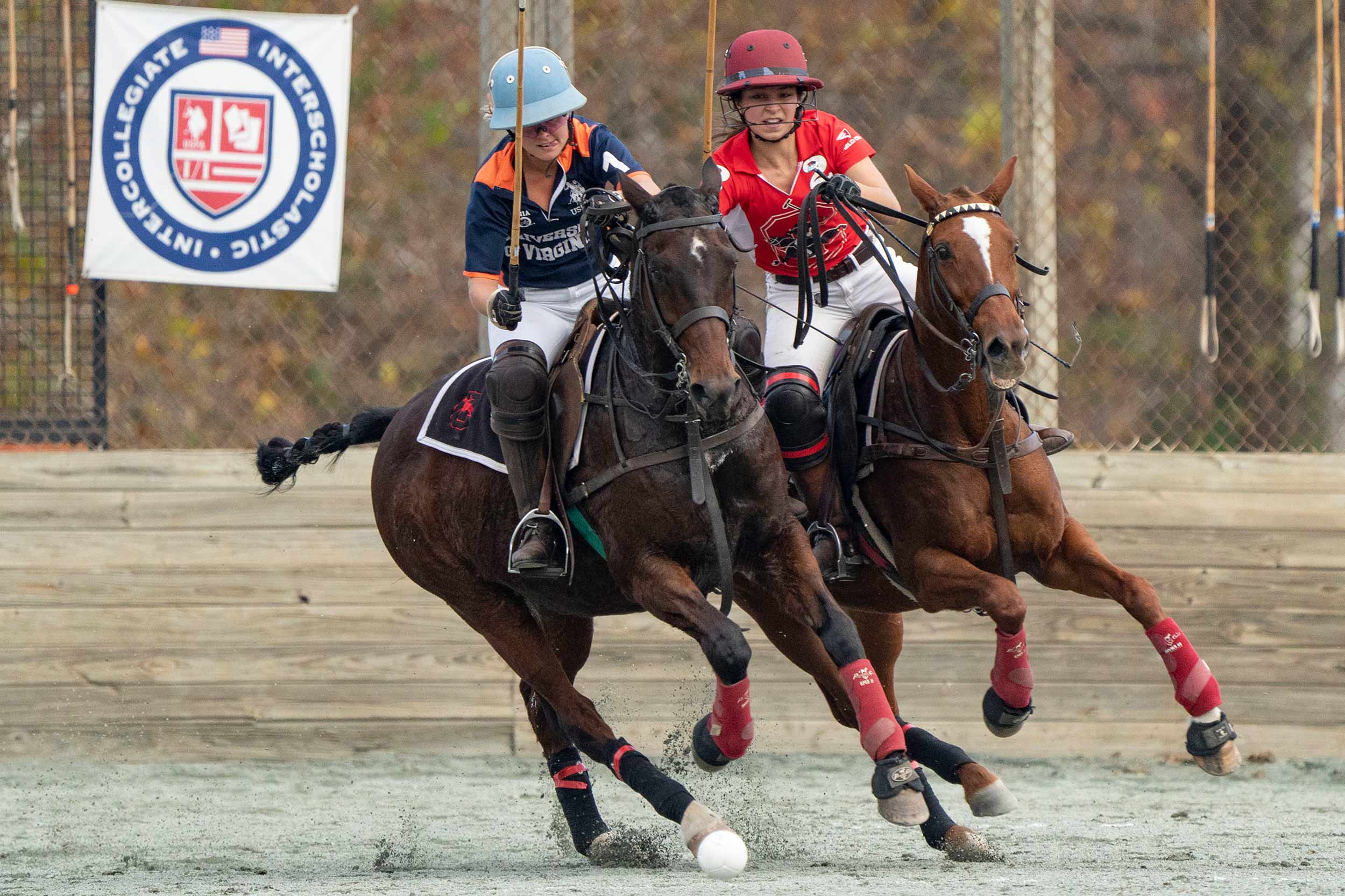 Two Polo opponents going after a ball on horses