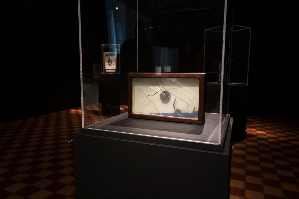 A glass display contains art by Cornell, which is a wooden frame containing fragmented materials and a broken glass cover. 