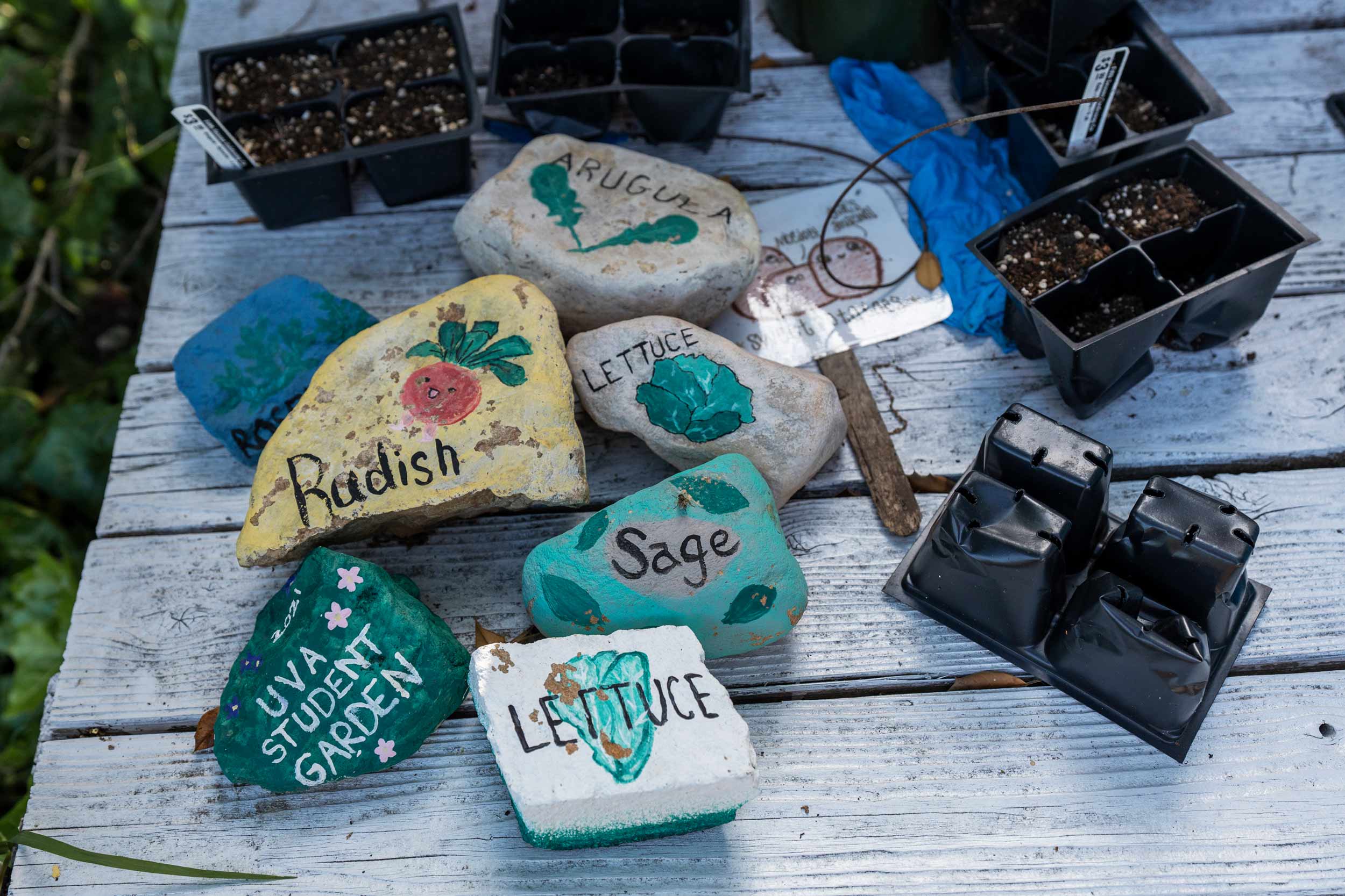 Rocks painted with the names of vegetables sit on a wooden bench.